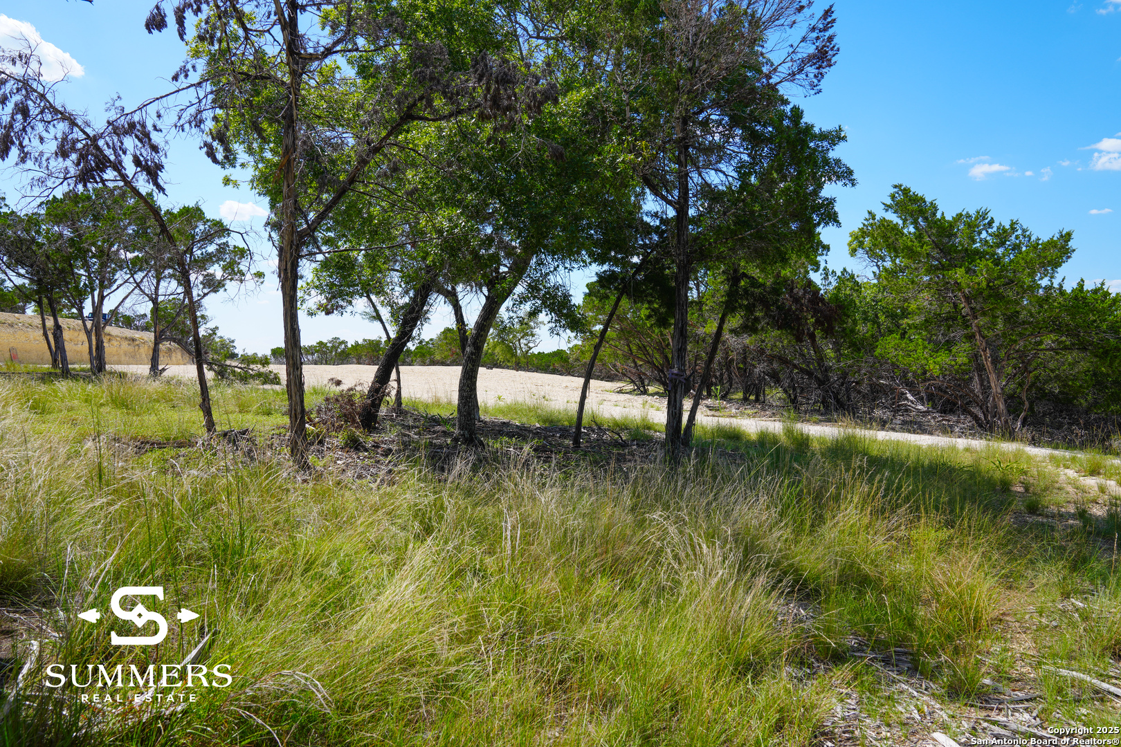 502 Waring Welfare Road Boerne, TX 78006 - Photo 3 of 33 a view of yard with green space