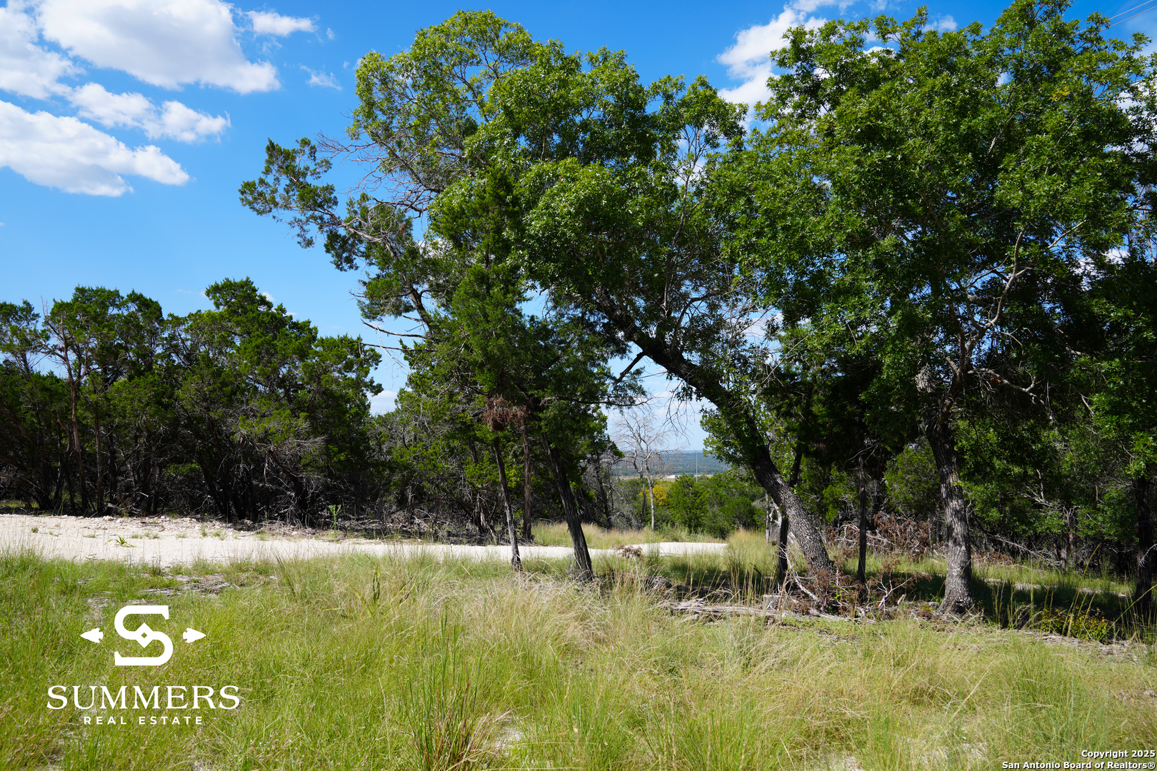 502 Waring Welfare Road Boerne, TX 78006 - Photo 5 of 33 a view of backyard with green space