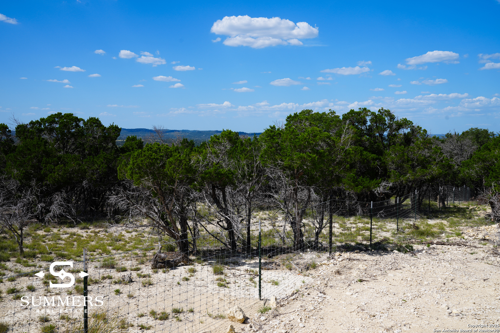 502 Waring Welfare Road Boerne, TX 78006 - Photo 7 of 33 a view of a yard with a tree