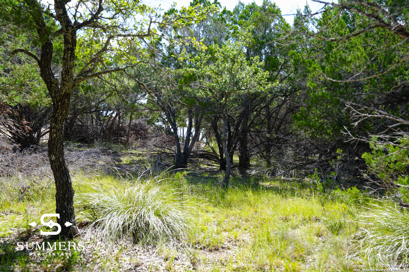 502 Waring Welfare Road Boerne, TX 78006 - Photo 8 of 33 a view of swimming pool from a lake view