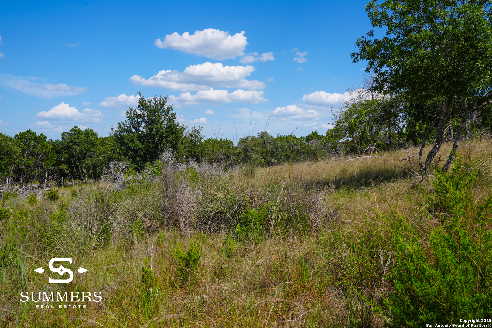 502 Waring Welfare Road Boerne, TX 78006 - Photo 9 of 33 a view of lake