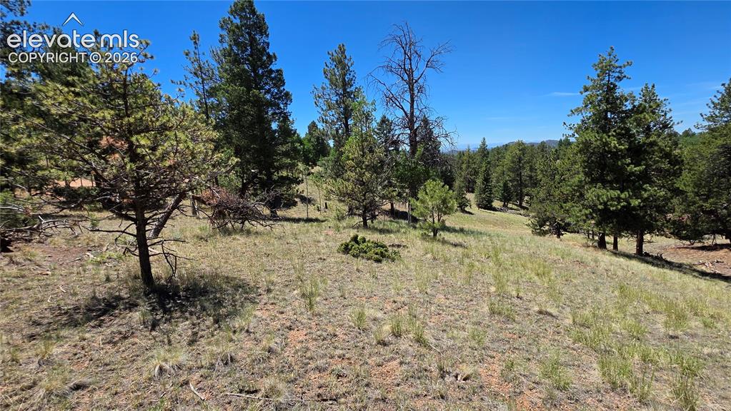 1366 North Mountain Estates Road Florissant, CO 80816 - Photo 12 of 16