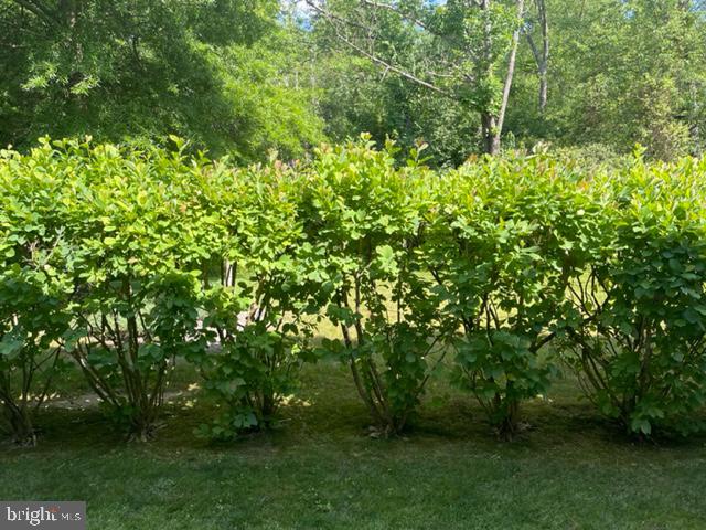 11 Tree Swallow Drive Princeton, NJ 08540 - Photo 28 of 29 a view of a yard