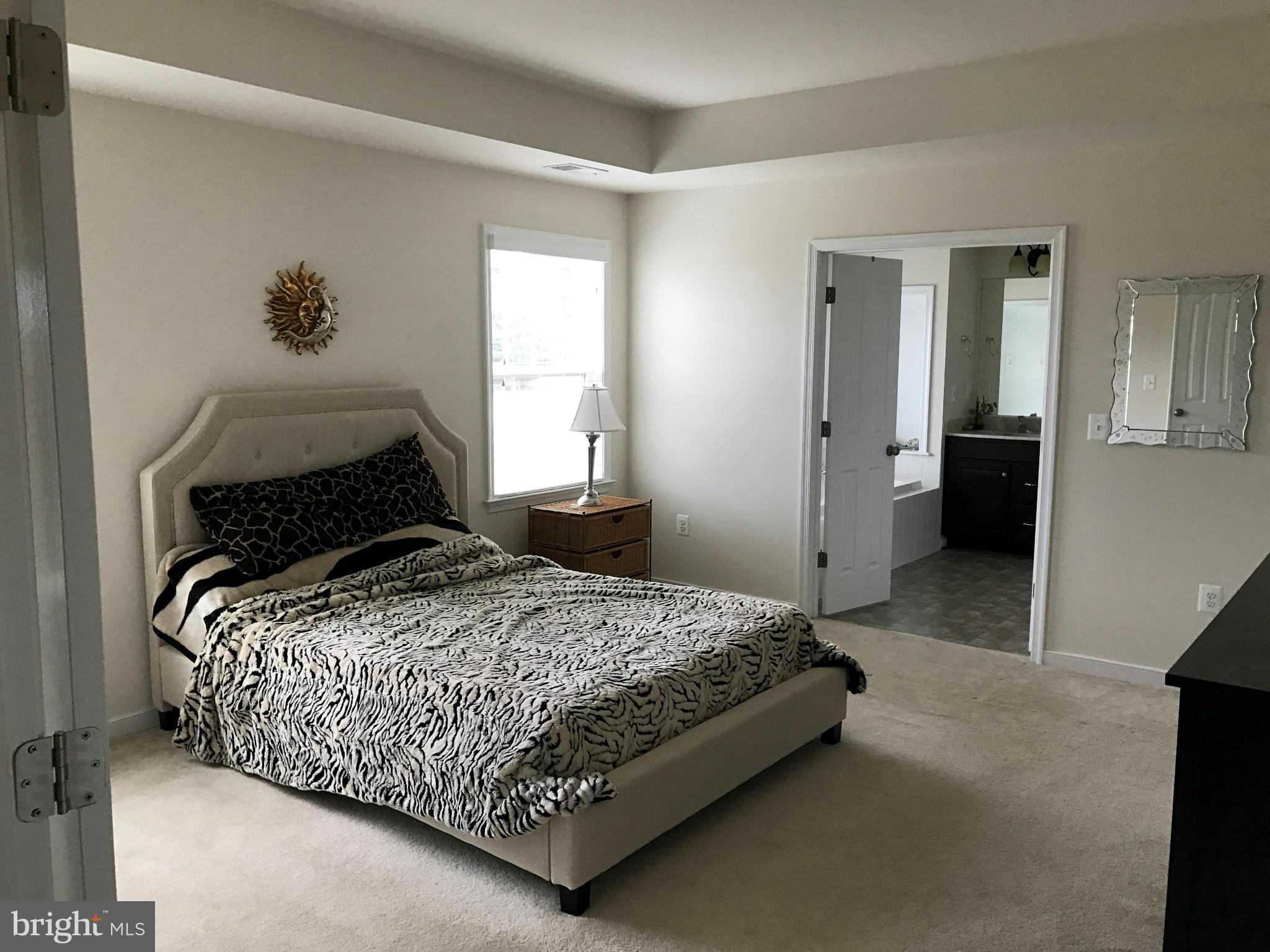 145 Standpipe Road Culpeper, VA 22701 - Photo 15 of 30 Bedroom (Master)