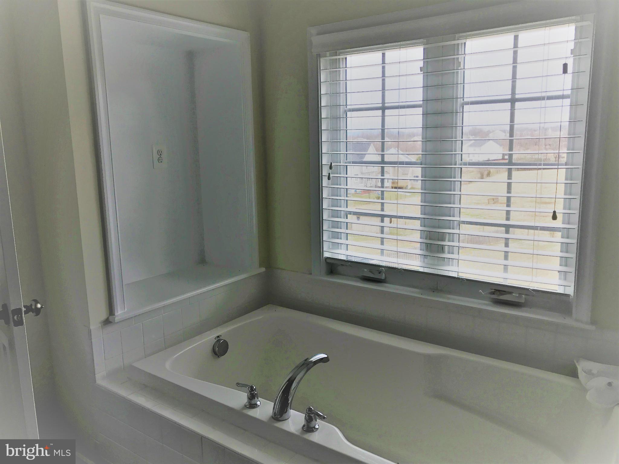 145 Standpipe Road Culpeper, VA 22701 - Photo 17 of 30 Bath (Master)