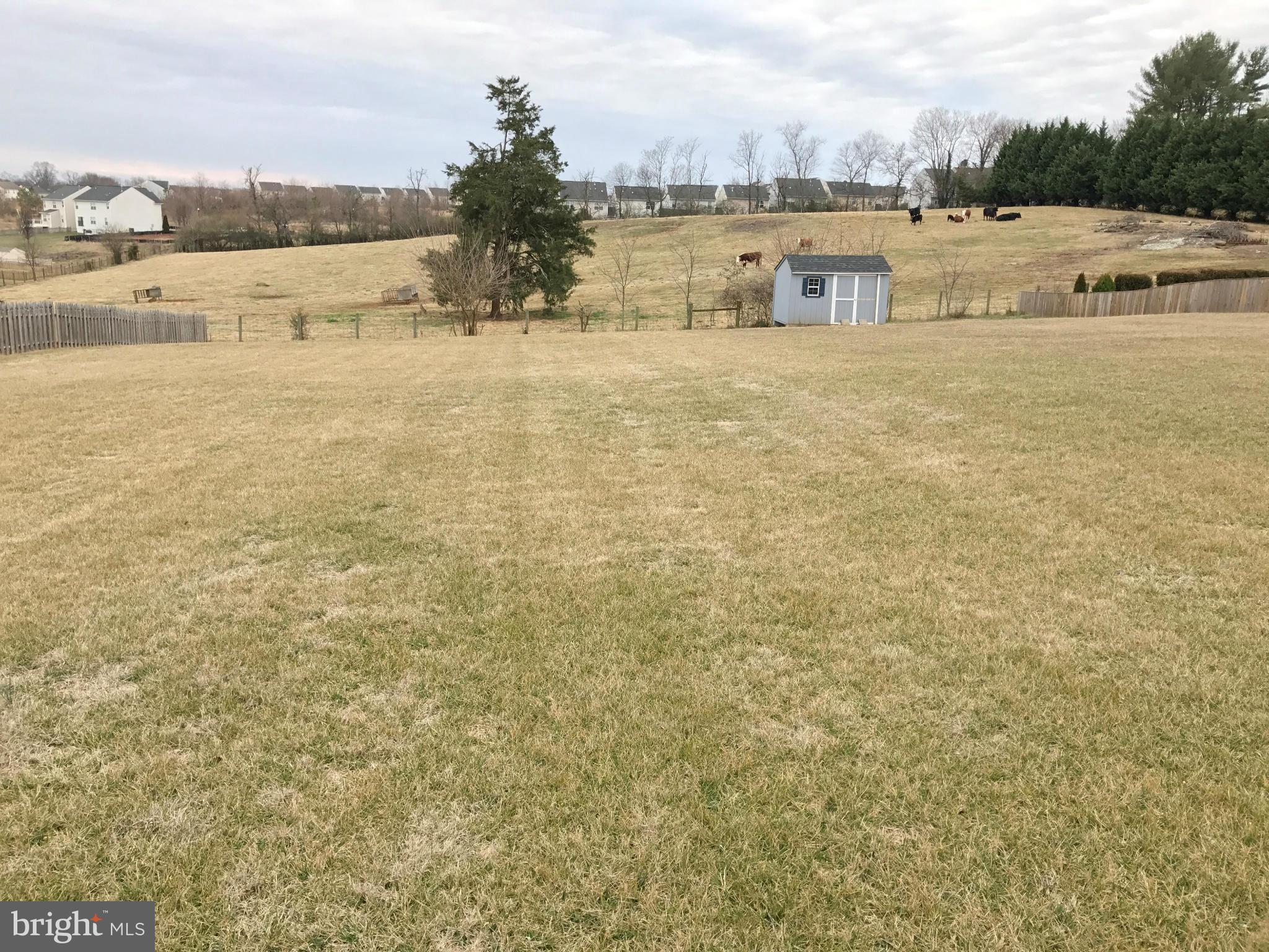 145 Standpipe Road Culpeper, VA 22701 - Photo 27 of 30 Exterior (Rear)