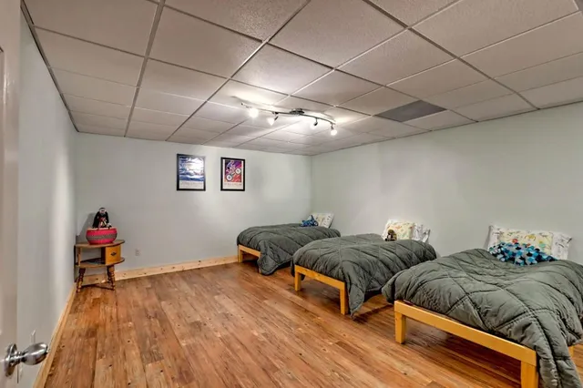 a view of a yard with plants and large trees