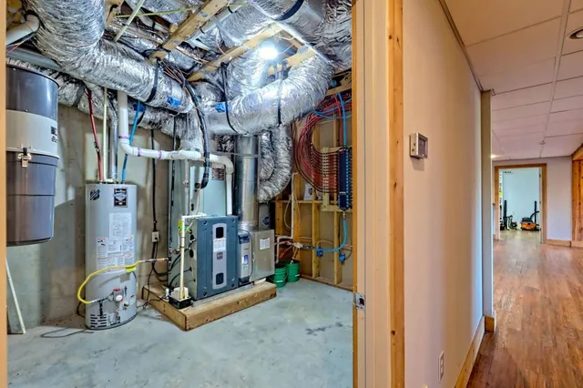 a view of a pathway with a tree