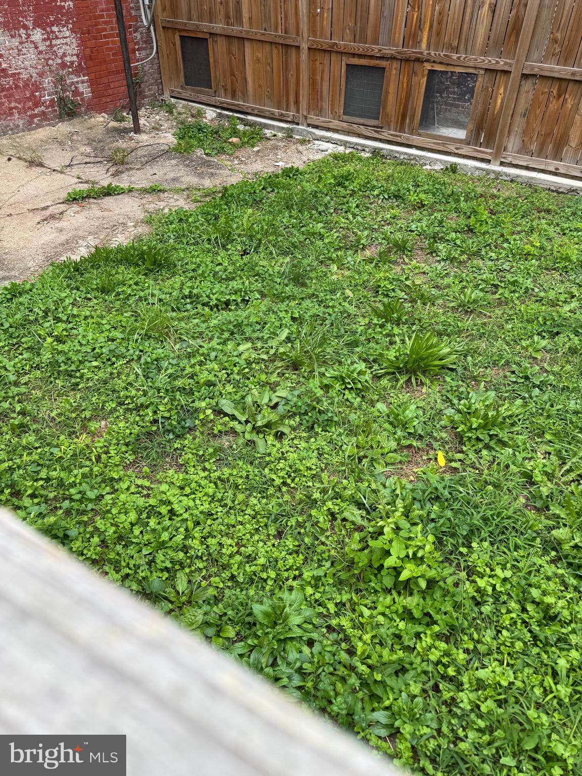 1207 Myrtle Avenue Baltimore, MD 21217 - Photo 11 of 21 fenced in yard