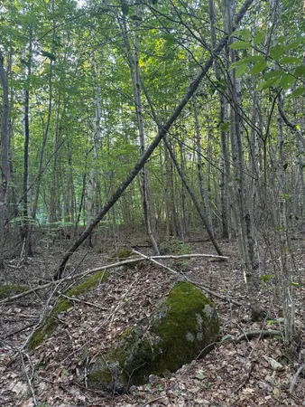 $89,000 | 500 Cosgrove Drive, Ellsworth, ME 04605