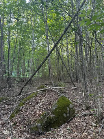 $89,000 | 500 Cosgrove Drive, Ellsworth, ME 04605