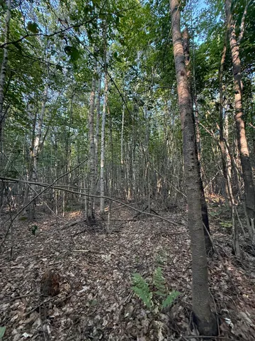 $89,000 | 500 Cosgrove Drive, Ellsworth, ME 04605