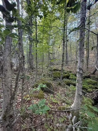 $89,000 | 500 Cosgrove Drive, Ellsworth, ME 04605