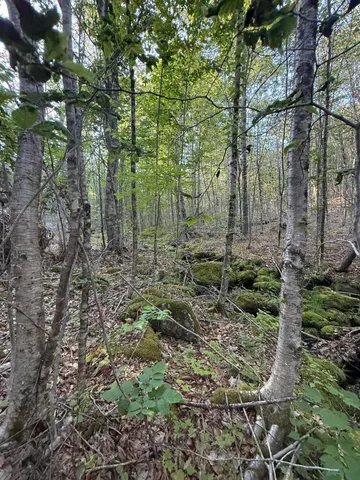 $89,000 | 500 Cosgrove Drive, Ellsworth, ME 04605