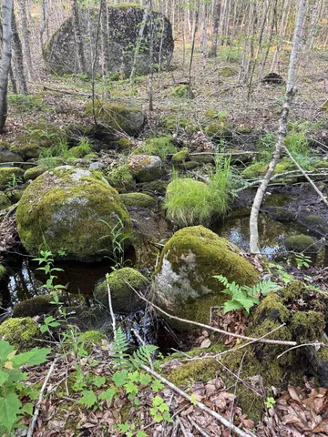 $89,000 | 500 Cosgrove Drive, Ellsworth, ME 04605