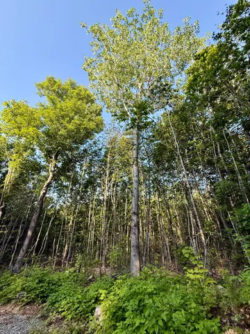 $89,000 | 500 Cosgrove Drive, Ellsworth, ME 04605