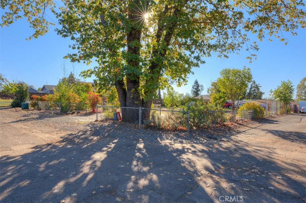 a view of a street with a tree
