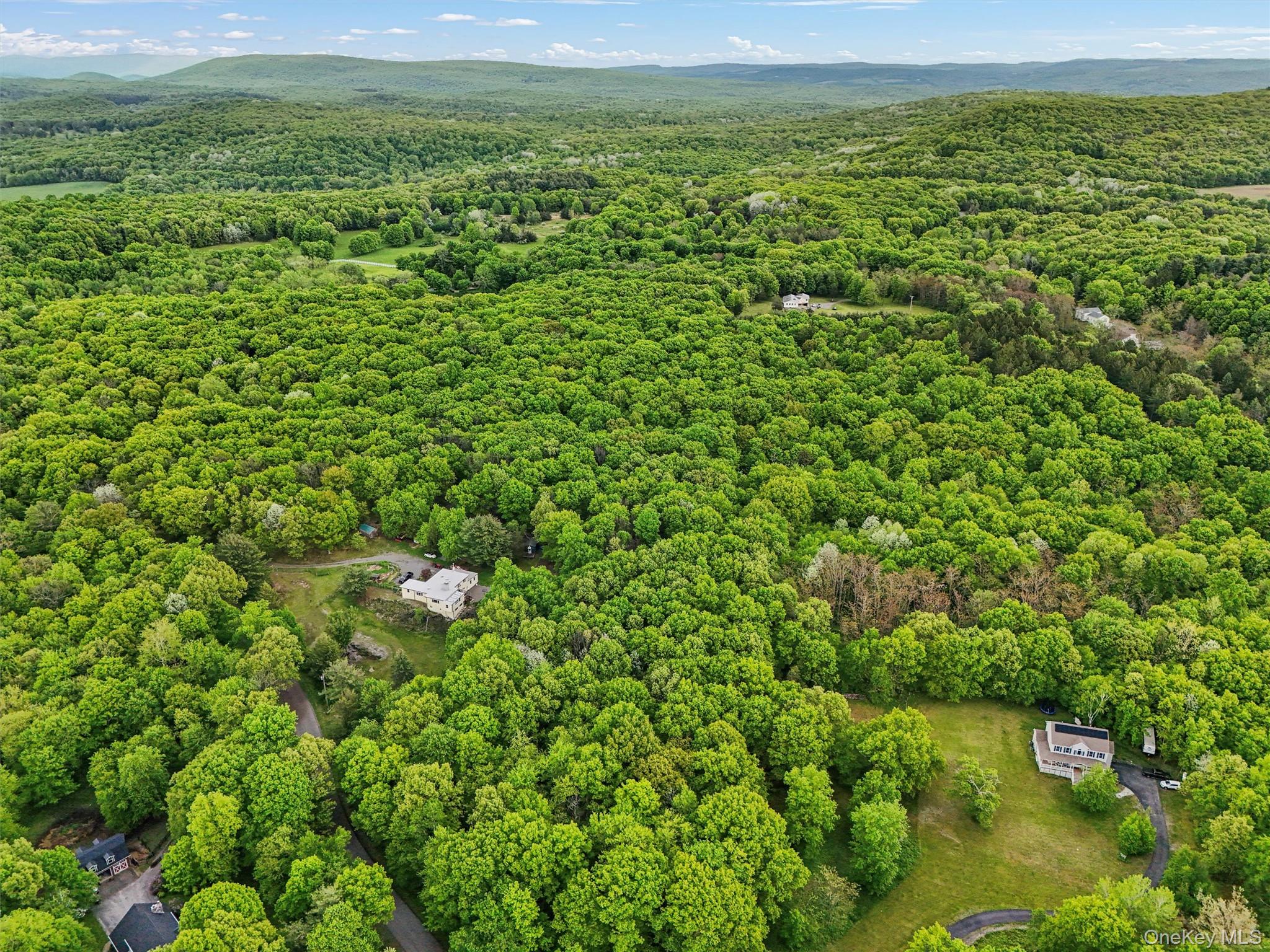 a view of a lush green space with sea