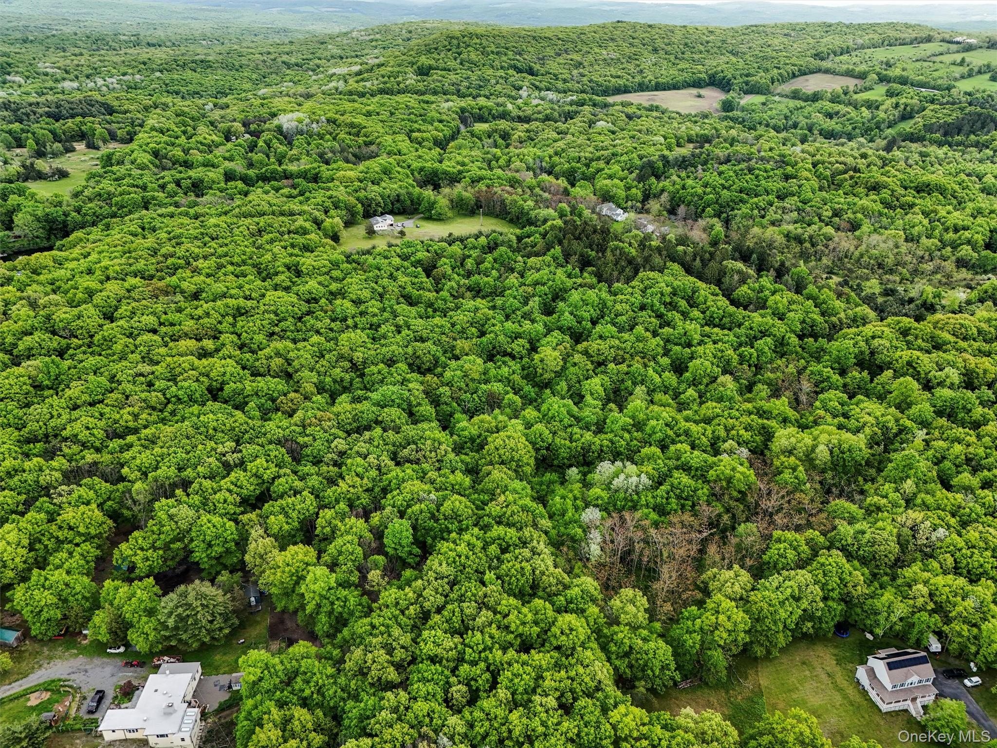 Quarfelt Road Clinton Corners, NY 12514 - Photo 5 of 7 view of a field of grass and trees