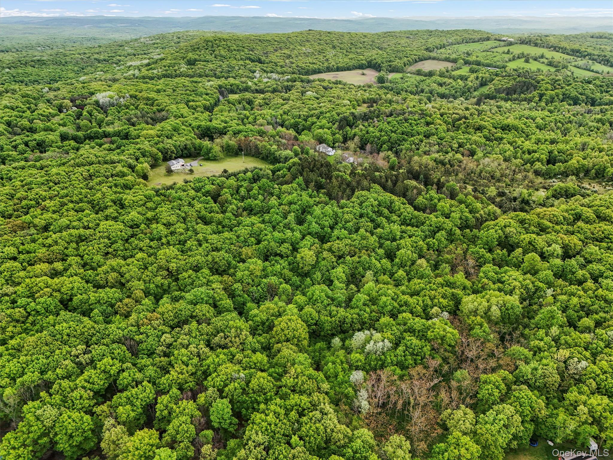 Quarfelt Road Clinton Corners, NY 12514 - Photo 6 of 7 a view of a green field