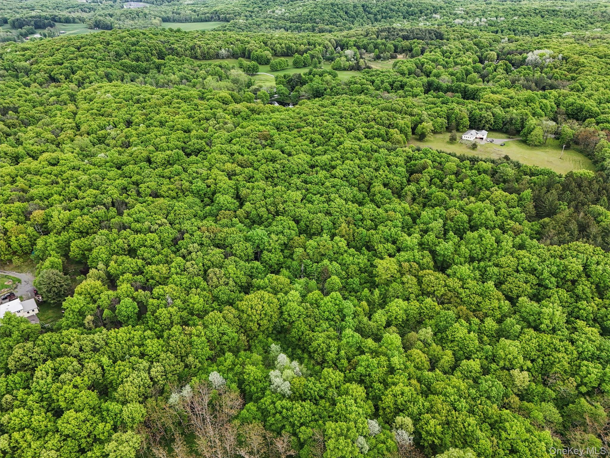 Quarfelt Road Clinton Corners, NY 12514 - Photo 7 of 7 a view of a lush green field