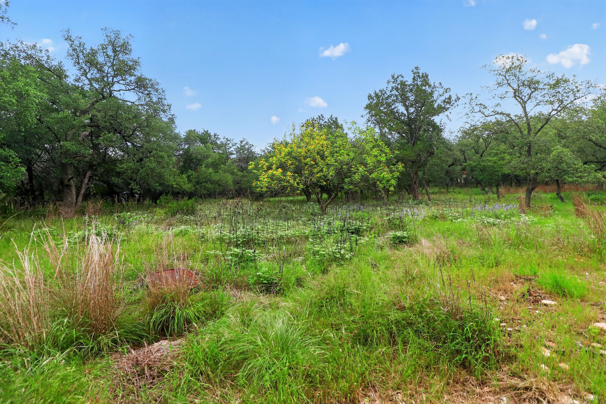 128 Mockingbird Lane Georgetown, TX 78633 - Photo 6 of 32 2.4 Acres of Trees & Privacy
