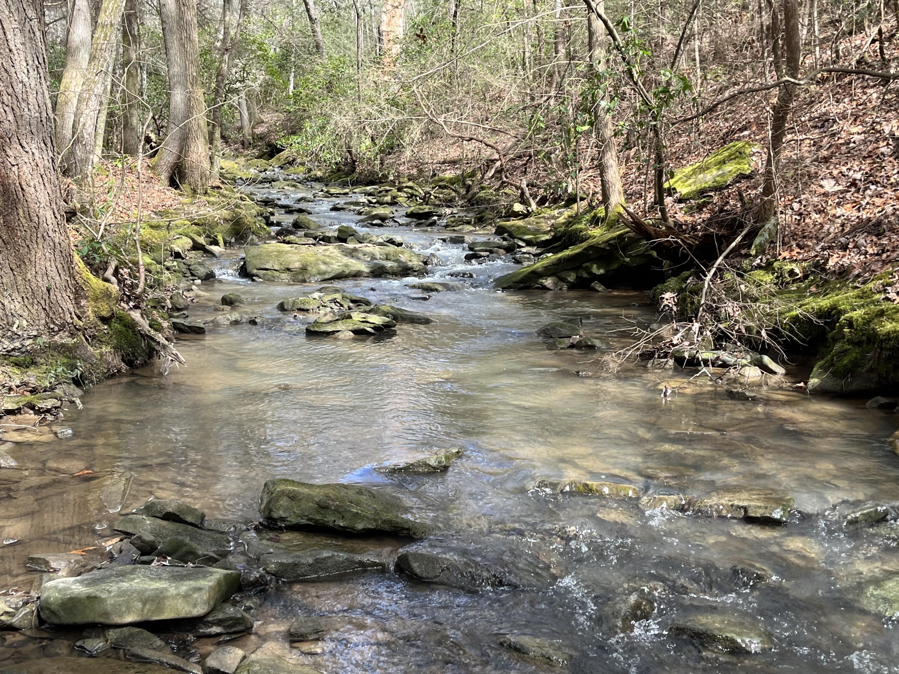 126 Kelly Creek Road Whitwell, TN 37397 - Photo 1 of 61 Photo Feb 22 2023, 12 10 55 PM