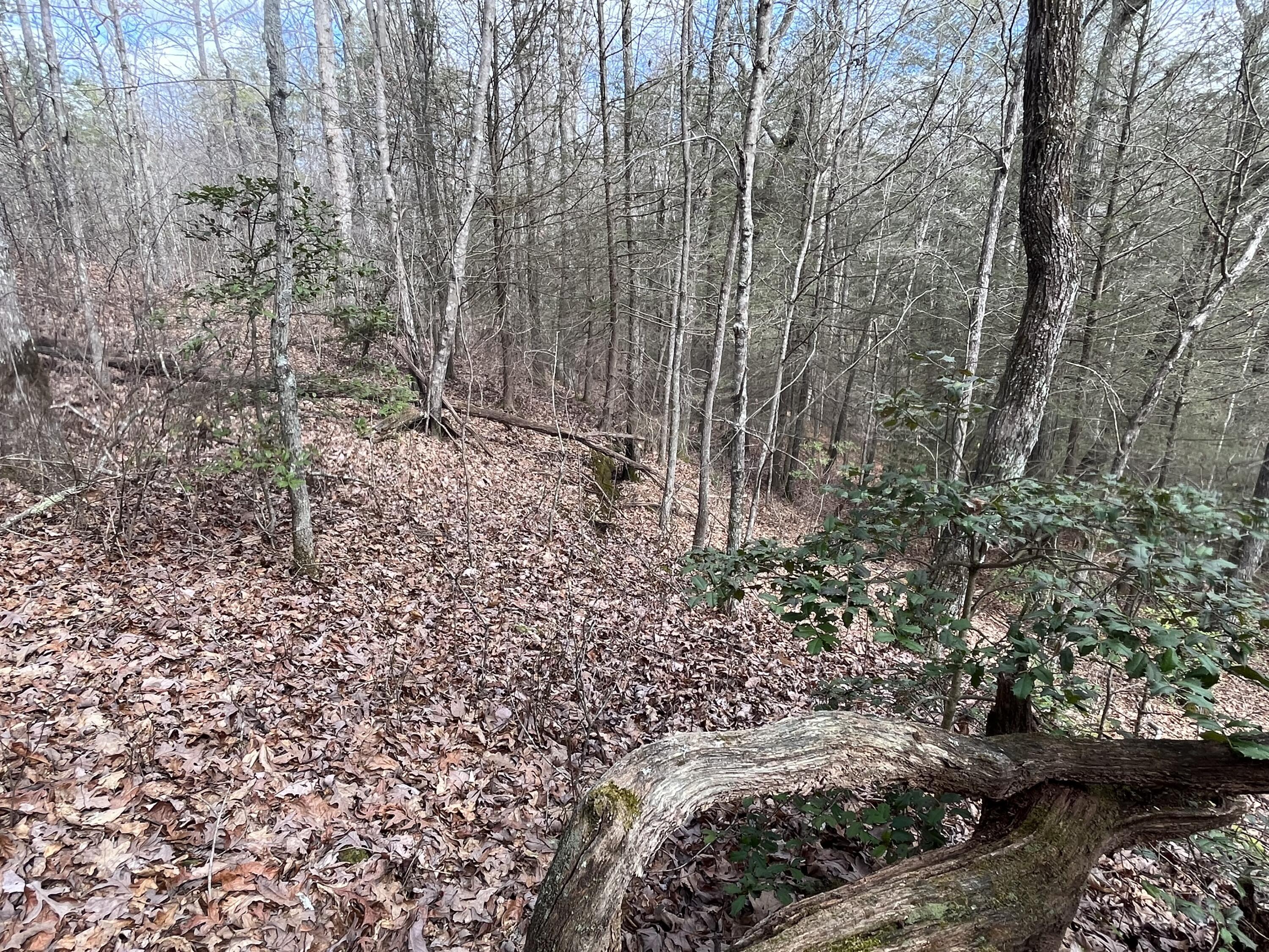 126 Kelly Creek Road Whitwell, TN 37397 - Photo 11 of 61 Photo Feb 22 2023, 12 06 35 PM