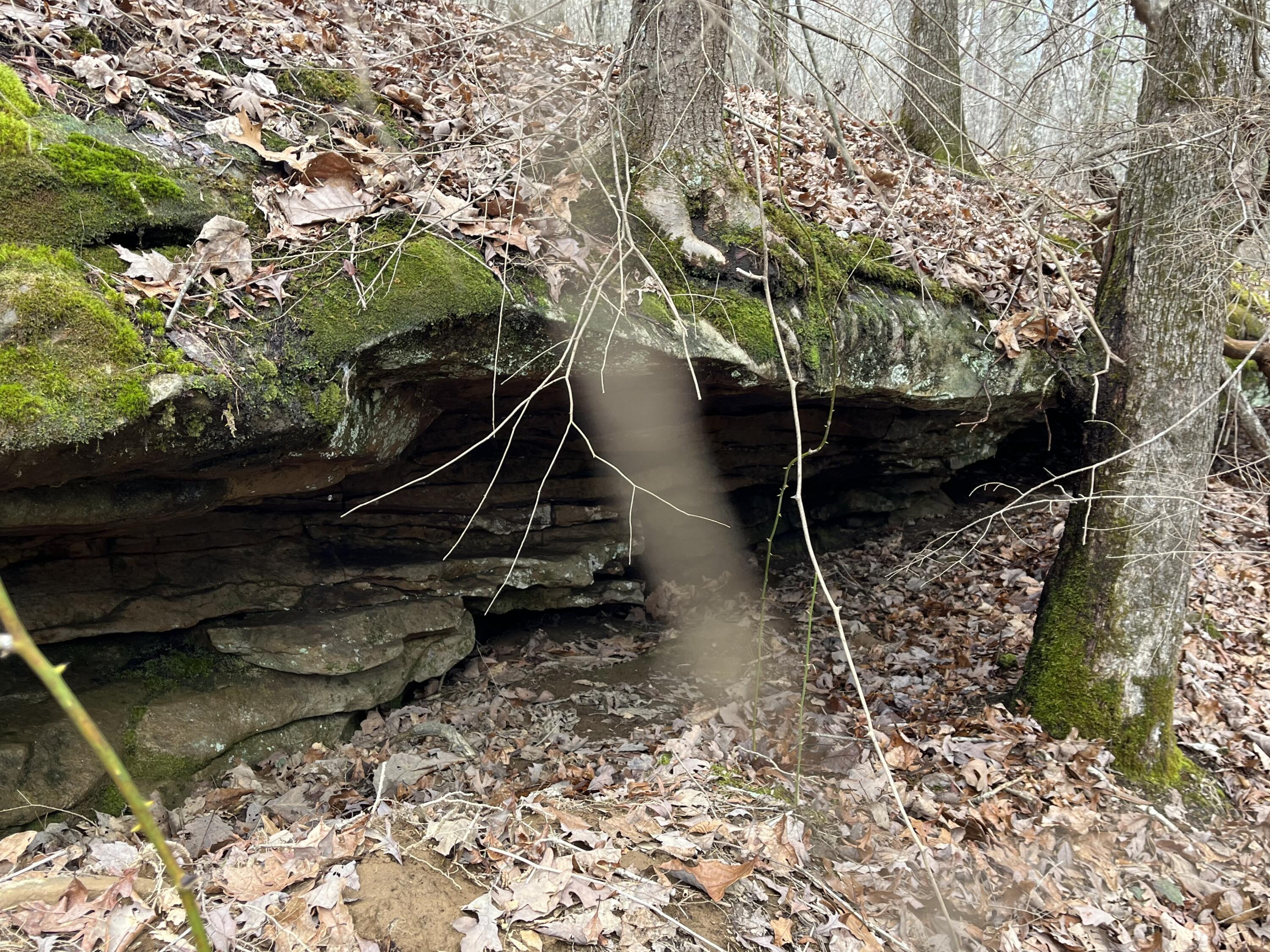 126 Kelly Creek Road Whitwell, TN 37397 - Photo 12 of 61 Photo Feb 22 2023, 12 08 30 PM