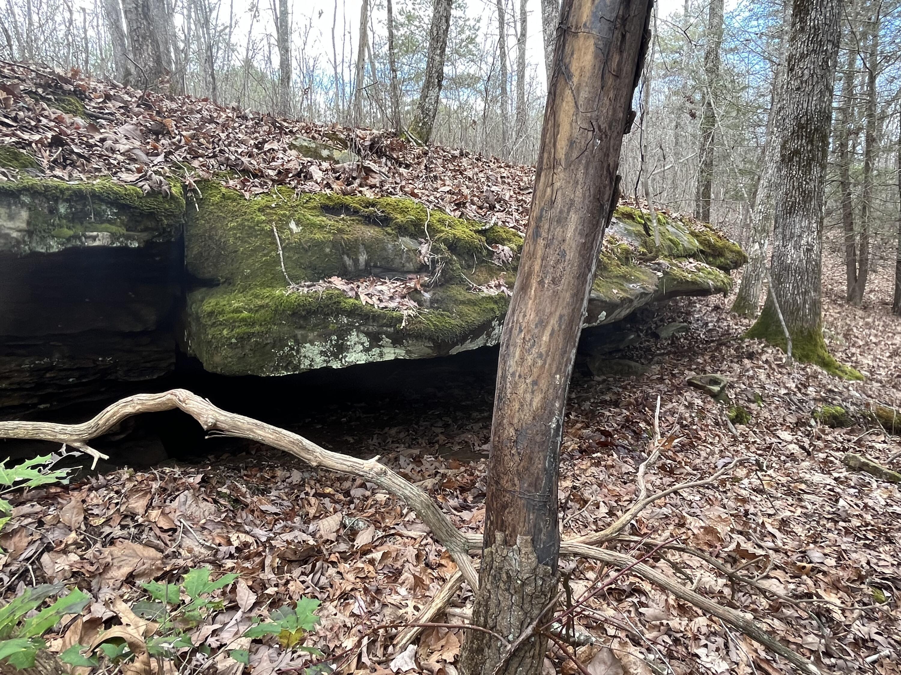 126 Kelly Creek Road Whitwell, TN 37397 - Photo 13 of 61 Photo Feb 22 2023, 12 08 53 PM