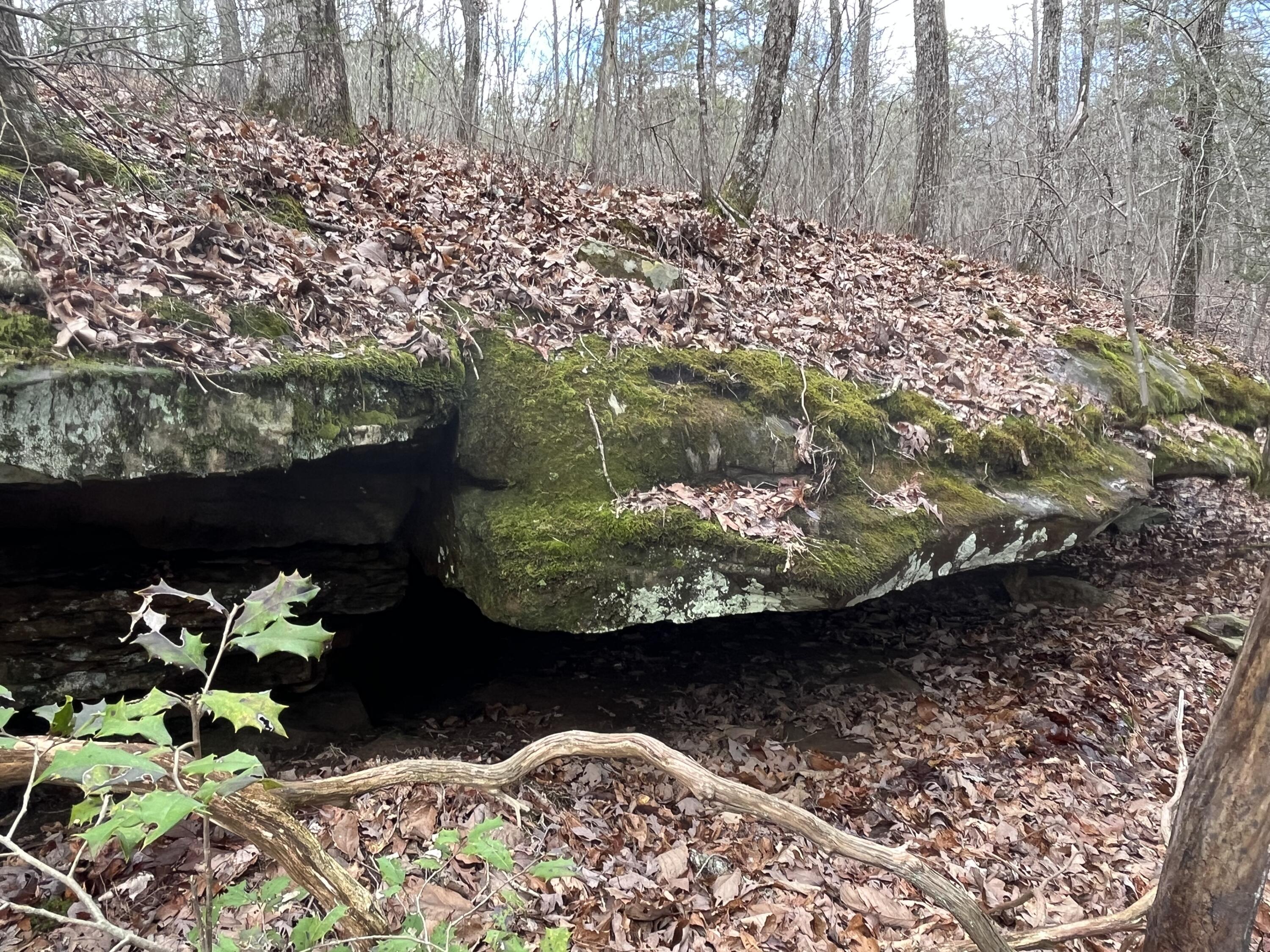 126 Kelly Creek Road Whitwell, TN 37397 - Photo 14 of 61 Photo Feb 22 2023, 12 08 58 PM