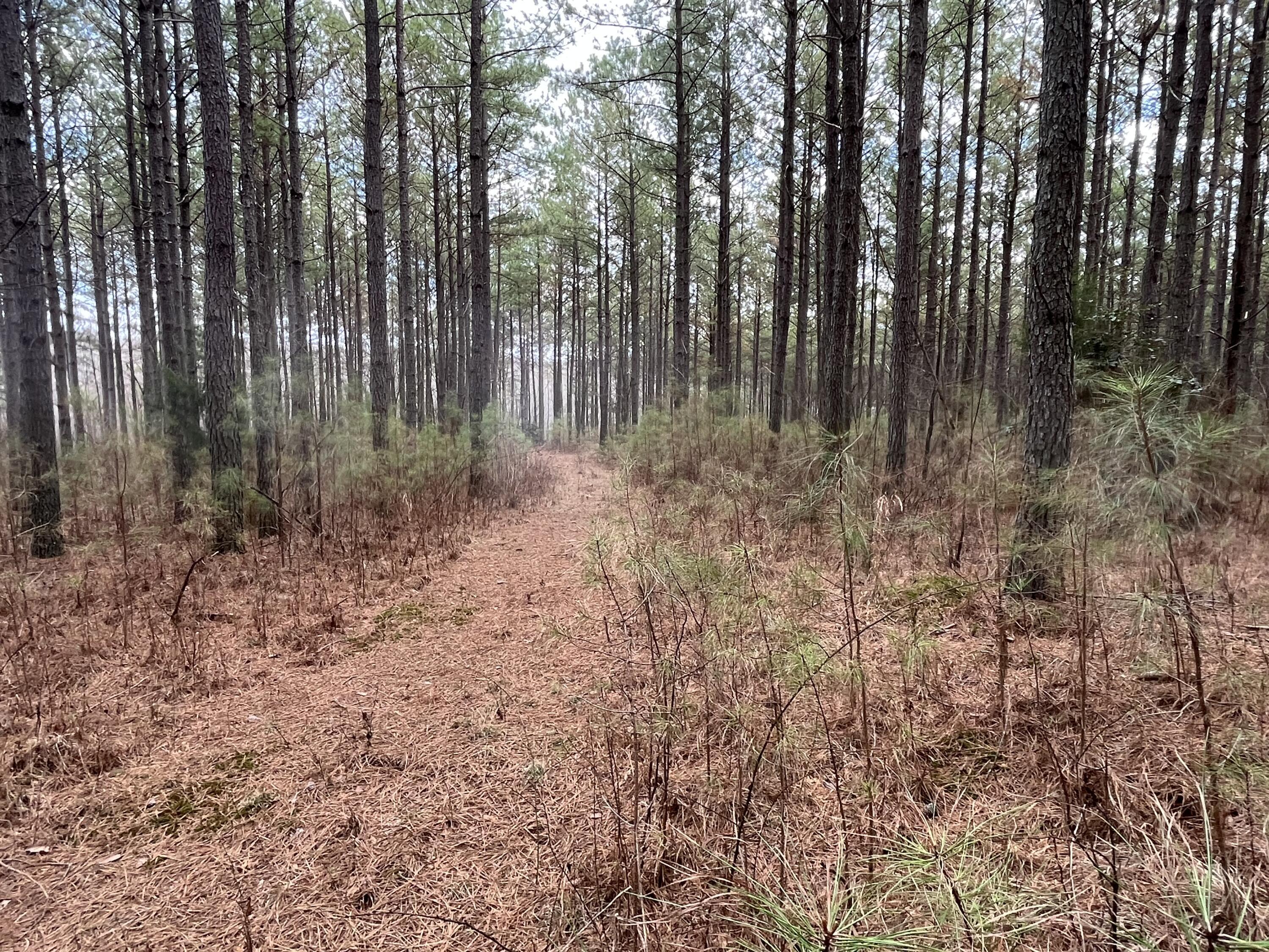126 Kelly Creek Road Whitwell, TN 37397 - Photo 15 of 61 Photo Feb 22 2023, 12 03 51 PM