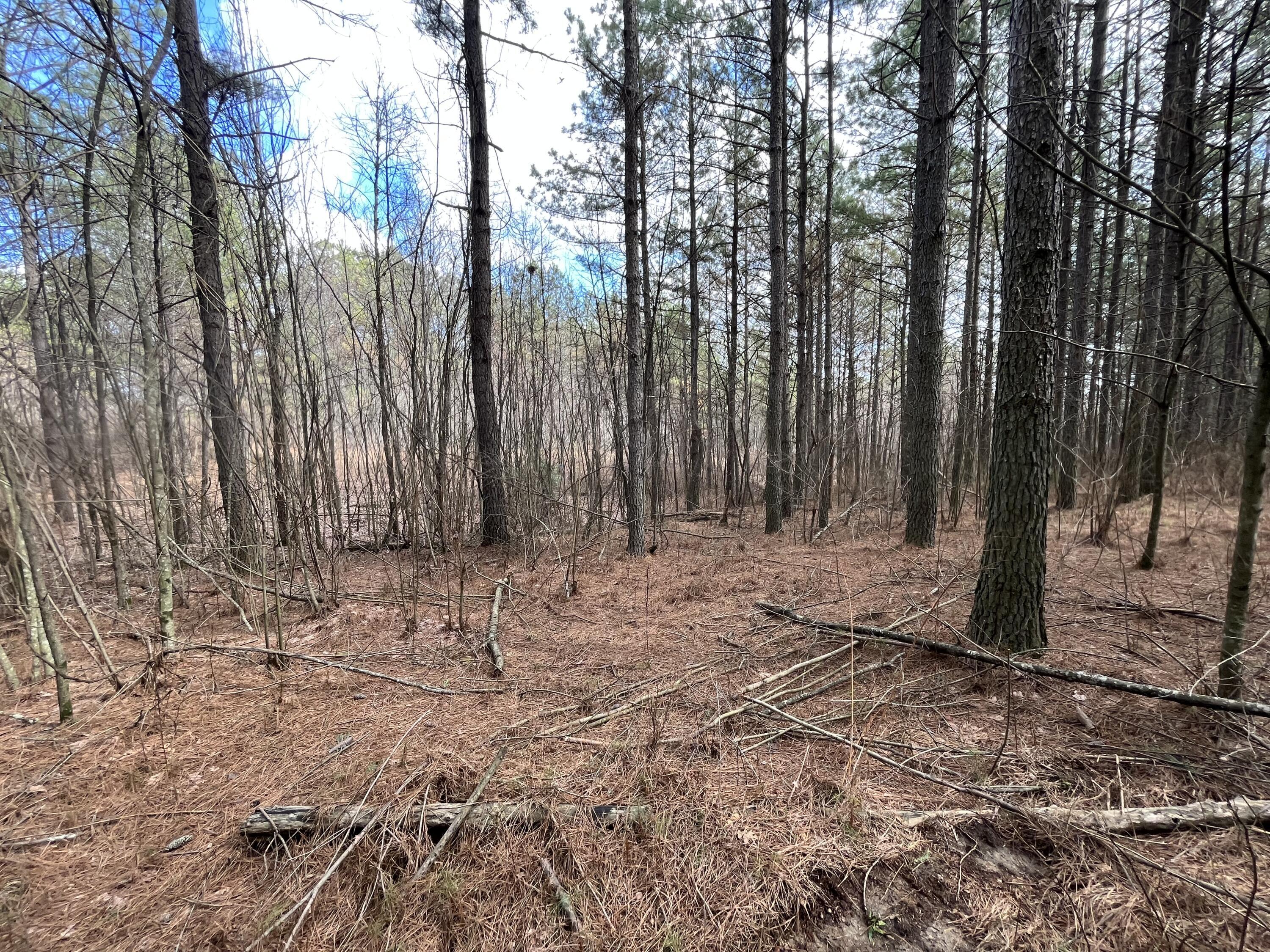126 Kelly Creek Road Whitwell, TN 37397 - Photo 16 of 61 Photo Feb 22 2023, 12 01 35 PM