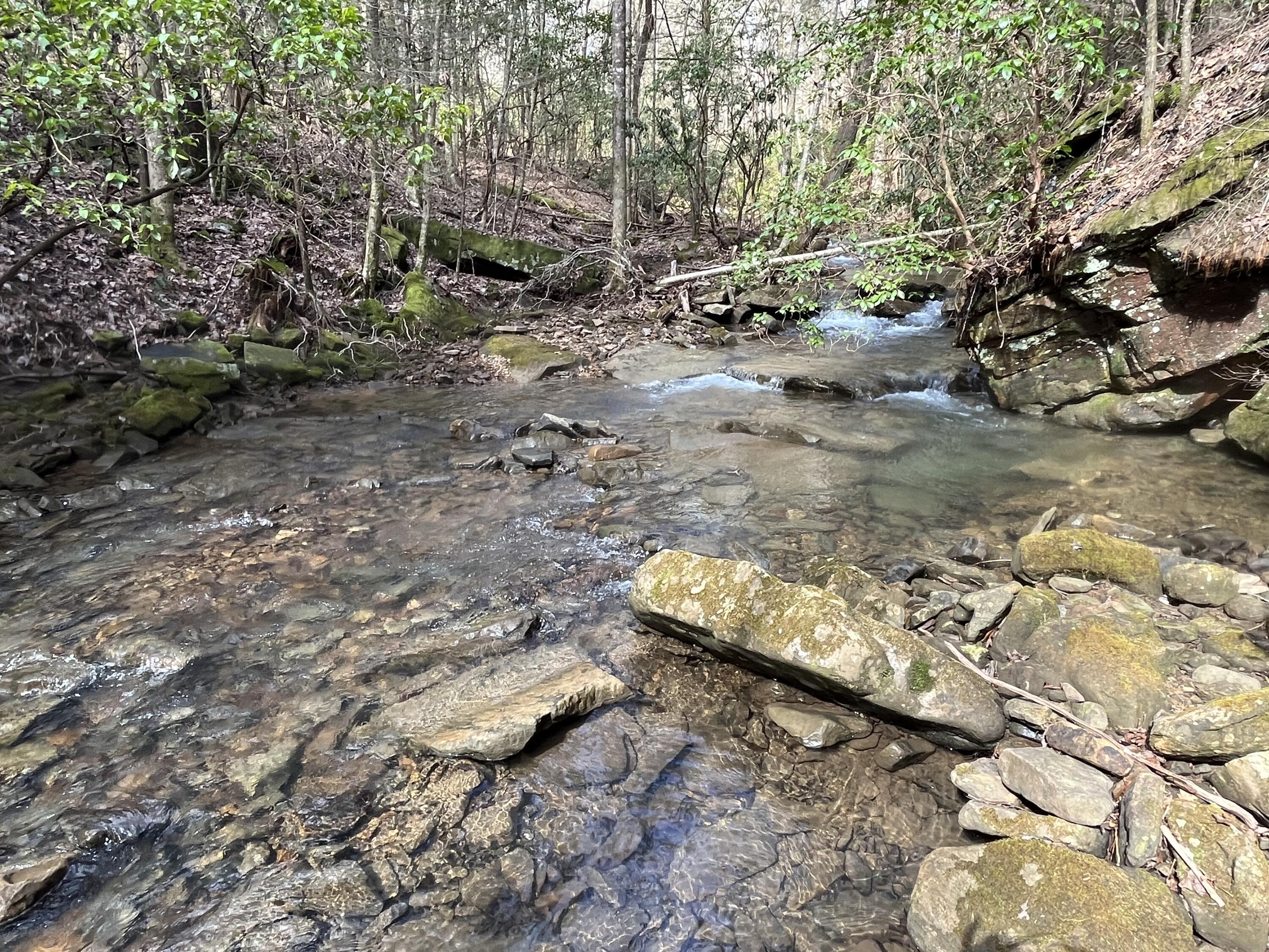 126 Kelly Creek Road Whitwell, TN 37397 - Photo 2 of 61 Photo Feb 22 2023, 12 43 09 PM