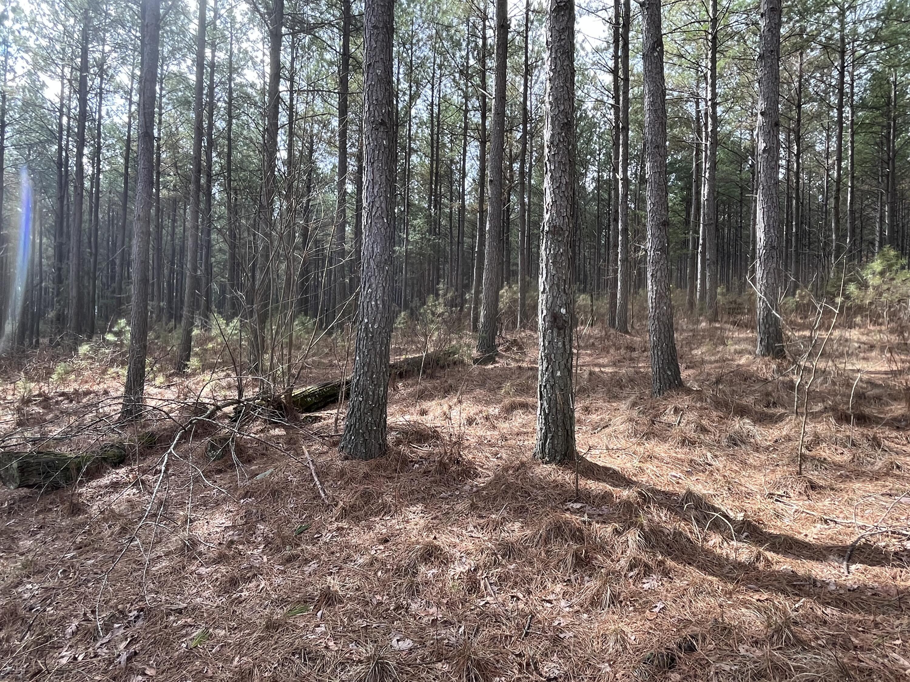 126 Kelly Creek Road Whitwell, TN 37397 - Photo 22 of 61 Photo Feb 22 2023, 12 06 01 PM