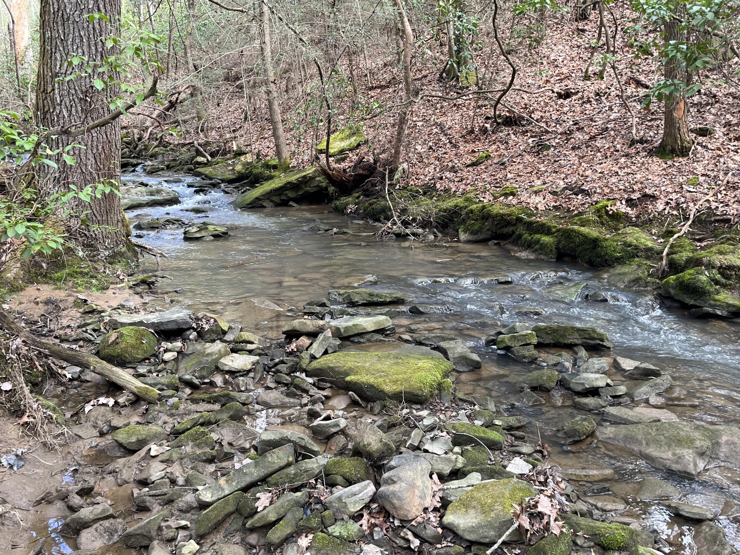 126 Kelly Creek Road Whitwell, TN 37397 - Photo 23 of 61 Photo Feb 22 2023, 12 10 24 PM