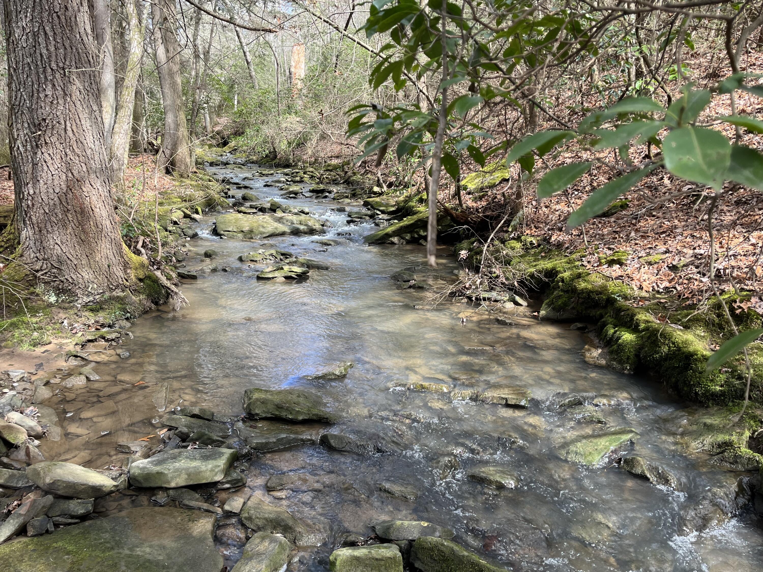 126 Kelly Creek Road Whitwell, TN 37397 - Photo 24 of 61 Photo Feb 22 2023, 12 11 00 PM