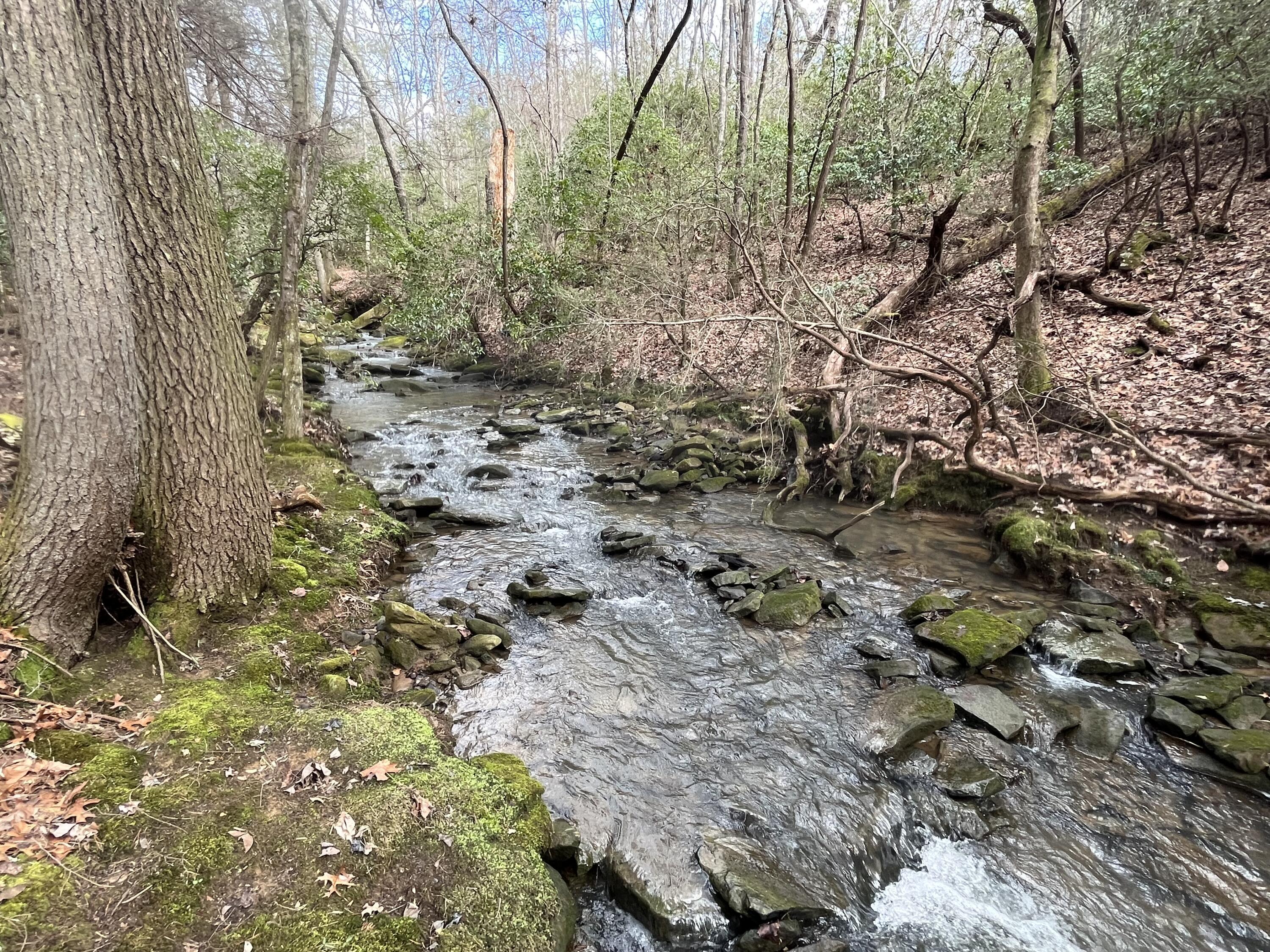 126 Kelly Creek Road Whitwell, TN 37397 - Photo 27 of 61 Photo Feb 22 2023, 12 11 57 PM