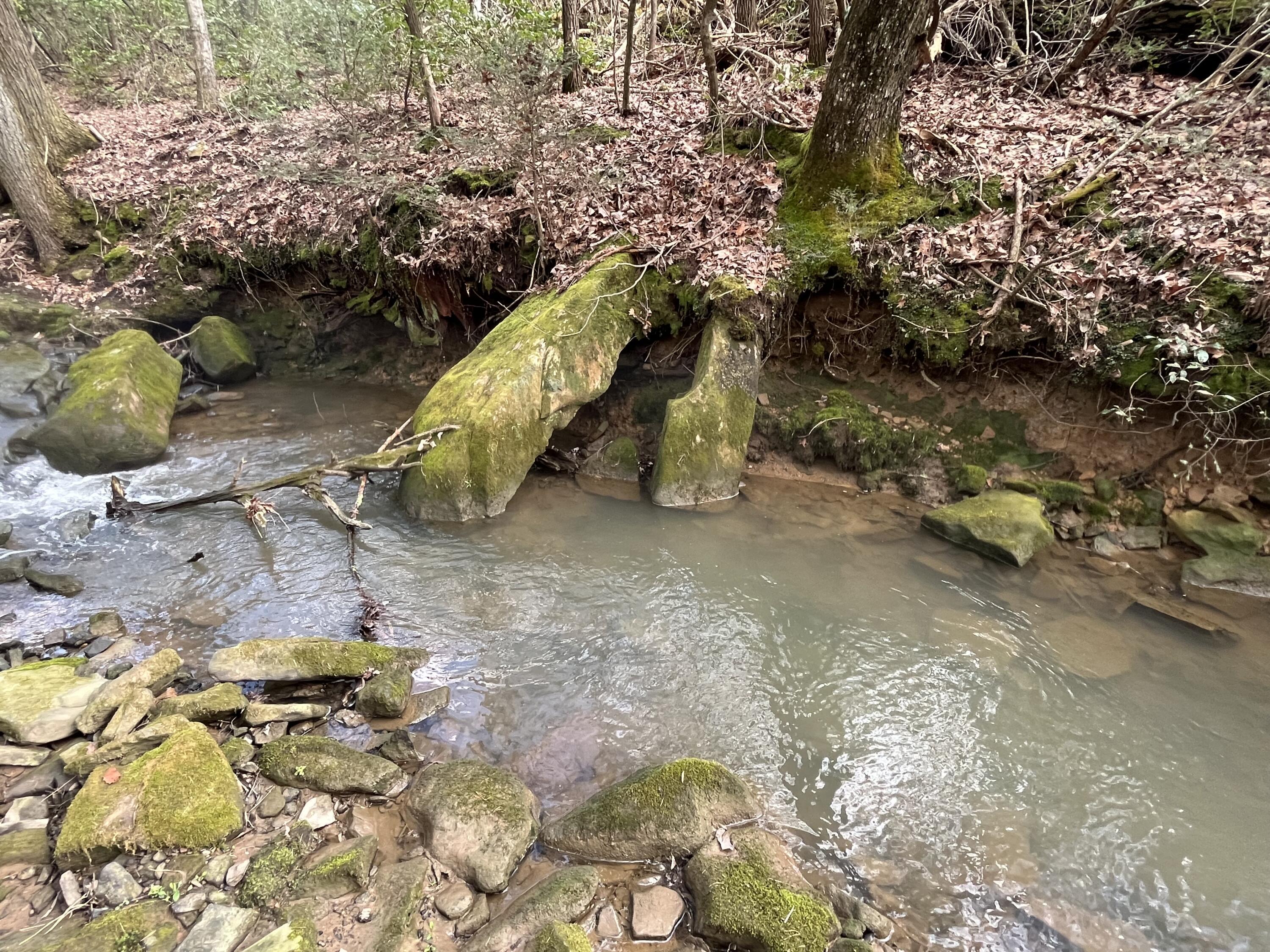 126 Kelly Creek Road Whitwell, TN 37397 - Photo 28 of 61 Photo Feb 22 2023, 12 12 53 PM