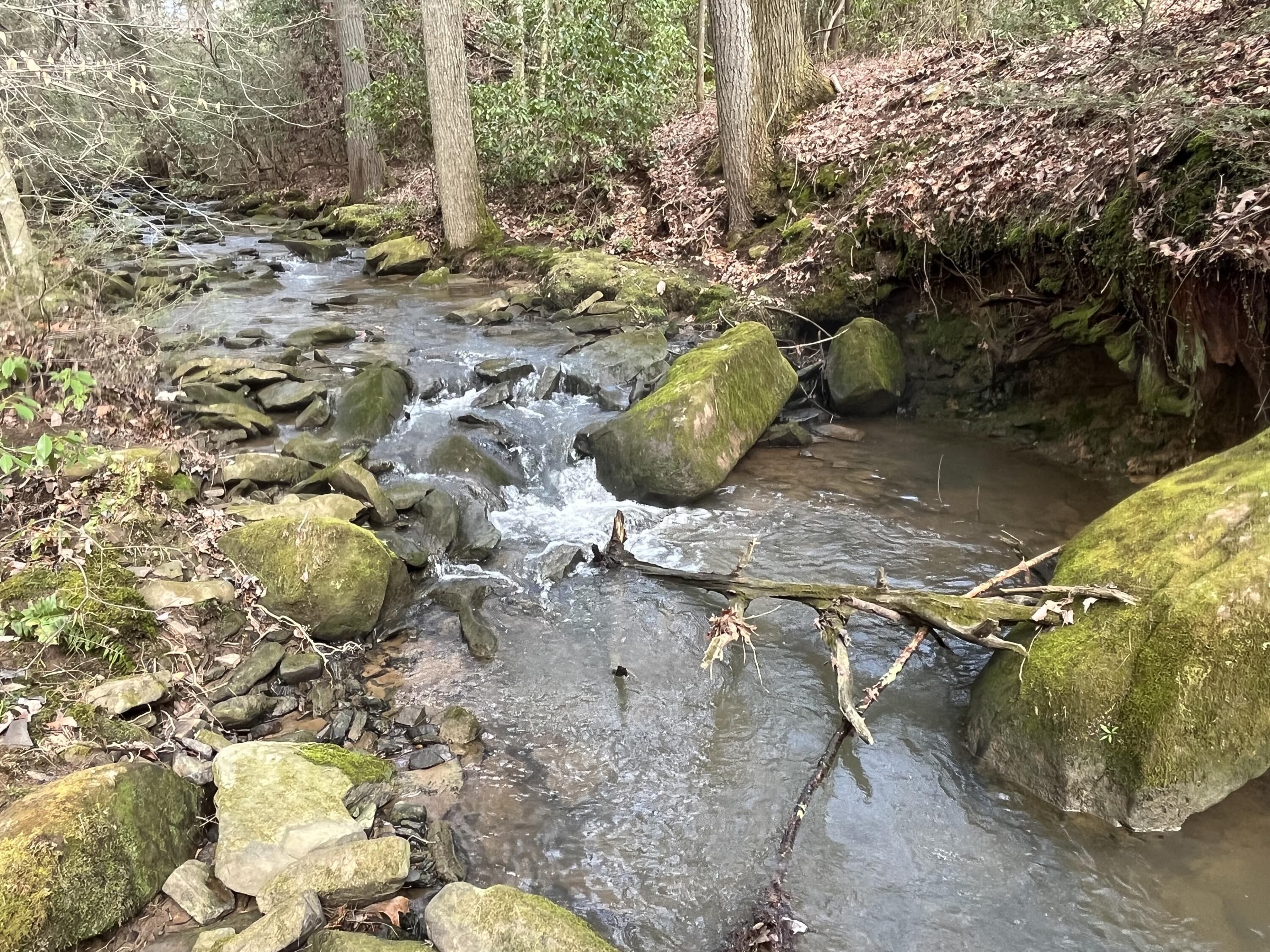 126 Kelly Creek Road Whitwell, TN 37397 - Photo 29 of 61 Photo Feb 22 2023, 12 13 02 PM