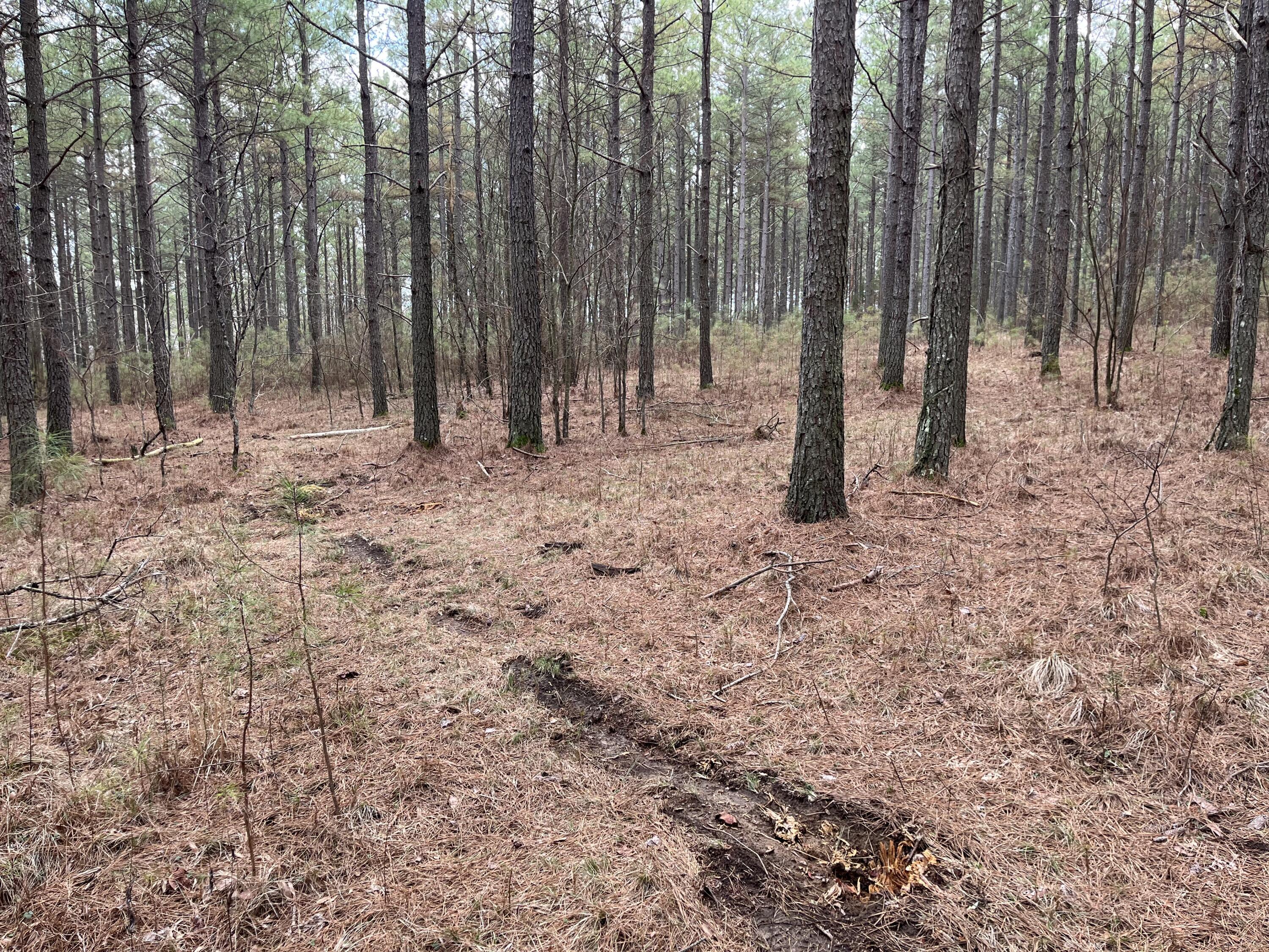126 Kelly Creek Road Whitwell, TN 37397 - Photo 33 of 61 Photo Feb 22 2023, 12 19 10 PM