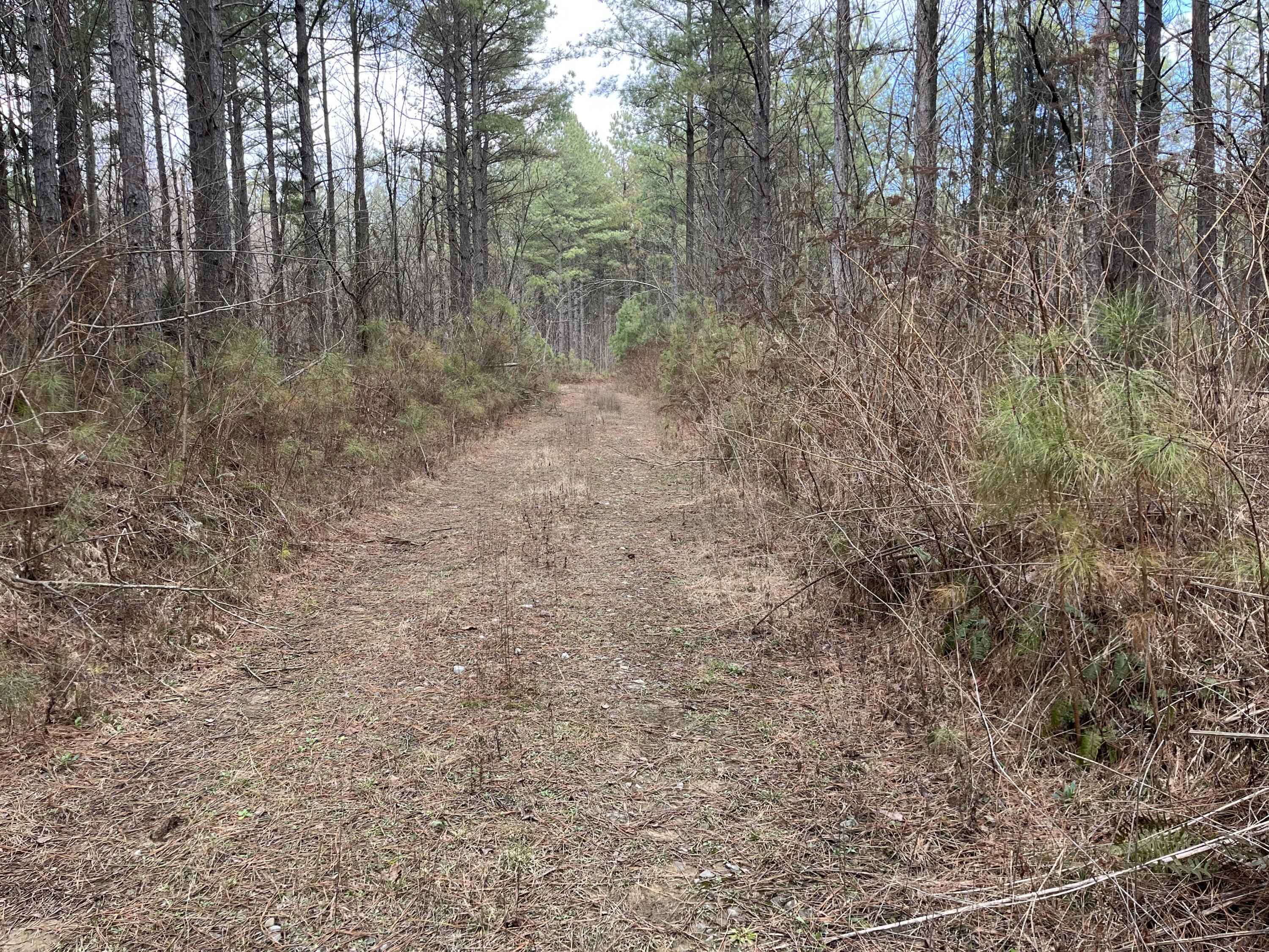 126 Kelly Creek Road Whitwell, TN 37397 - Photo 34 of 61 Photo Feb 22 2023, 12 23 46 PM