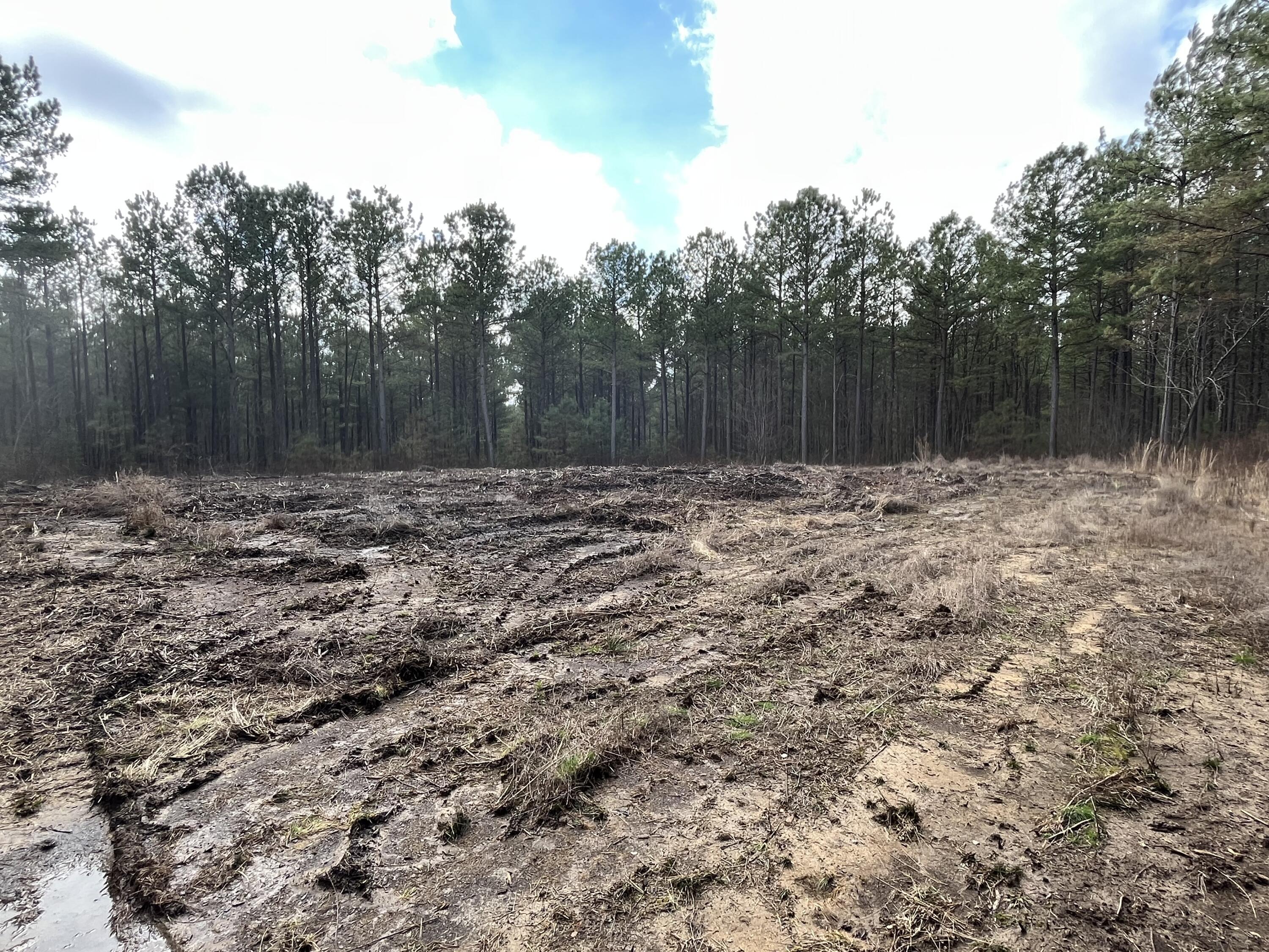 126 Kelly Creek Road Whitwell, TN 37397 - Photo 35 of 61 Photo Feb 22 2023, 12 27 19 PM