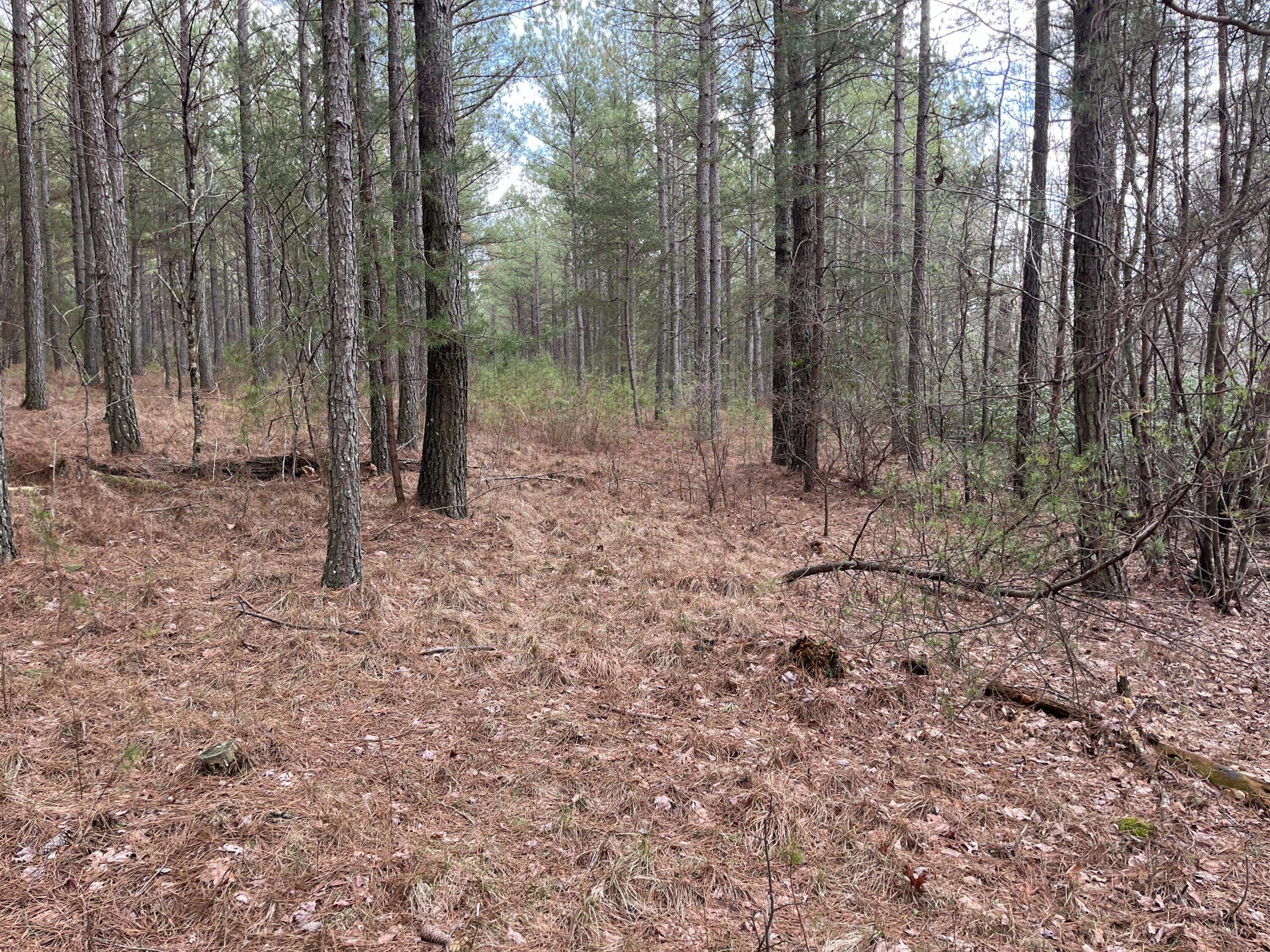 126 Kelly Creek Road Whitwell, TN 37397 - Photo 36 of 61 Photo Feb 22 2023, 12 32 13 PM