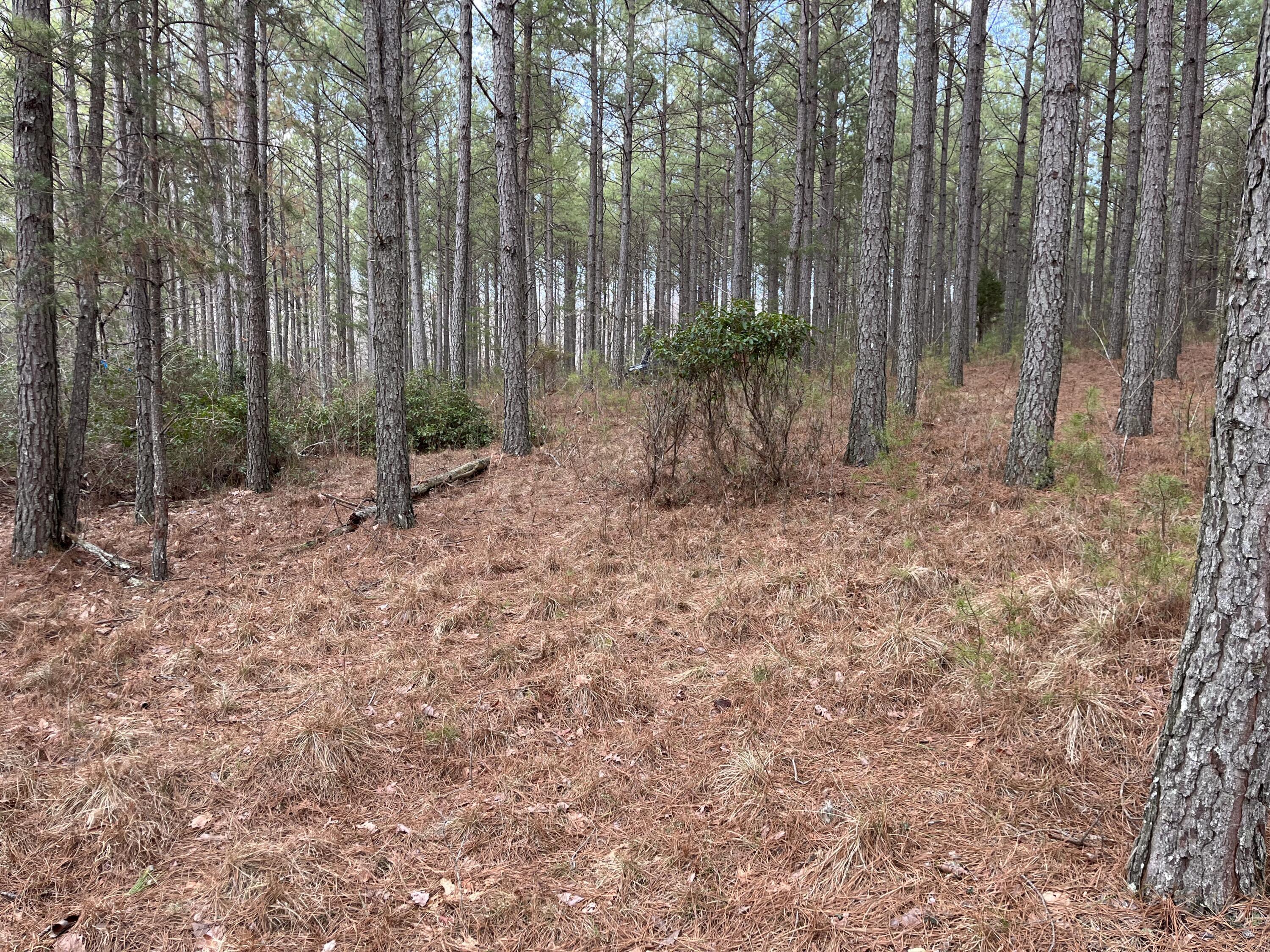126 Kelly Creek Road Whitwell, TN 37397 - Photo 37 of 61 Photo Feb 22 2023, 12 32 17 PM