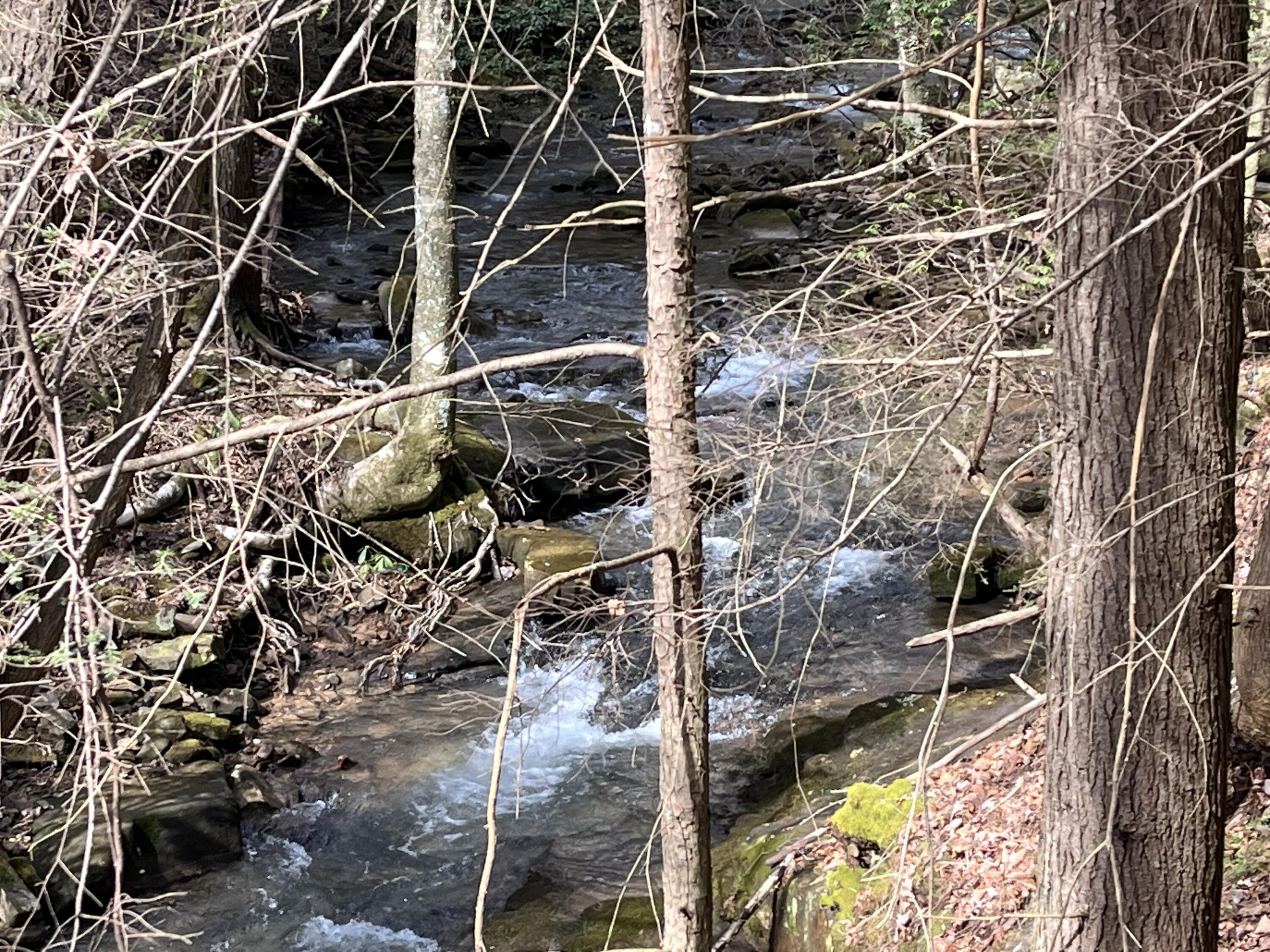 126 Kelly Creek Road Whitwell, TN 37397 - Photo 38 of 61 Photo Feb 22 2023, 12 40 18 PM