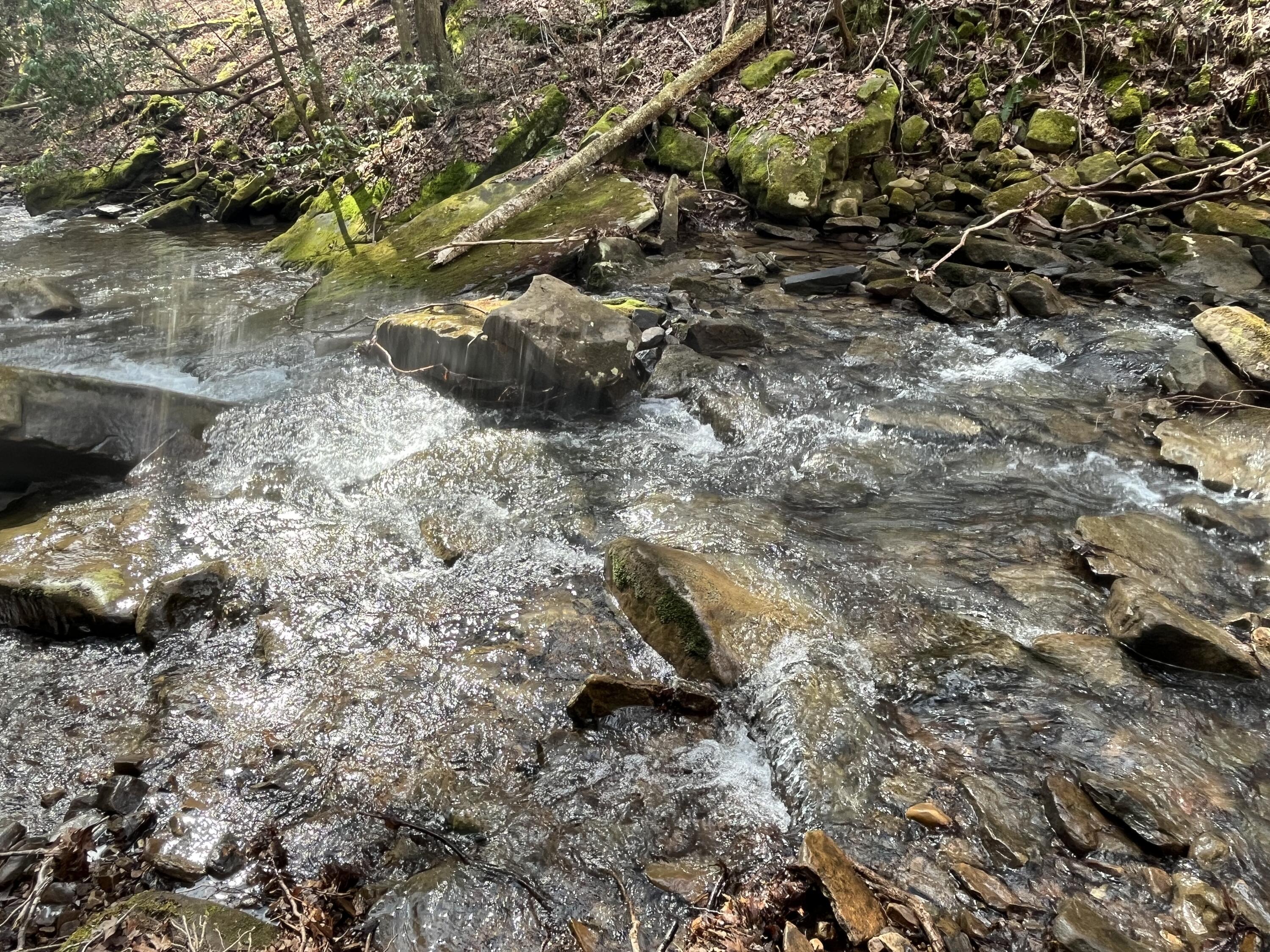 126 Kelly Creek Road Whitwell, TN 37397 - Photo 41 of 61 Photo Feb 22 2023, 12 42 27 PM