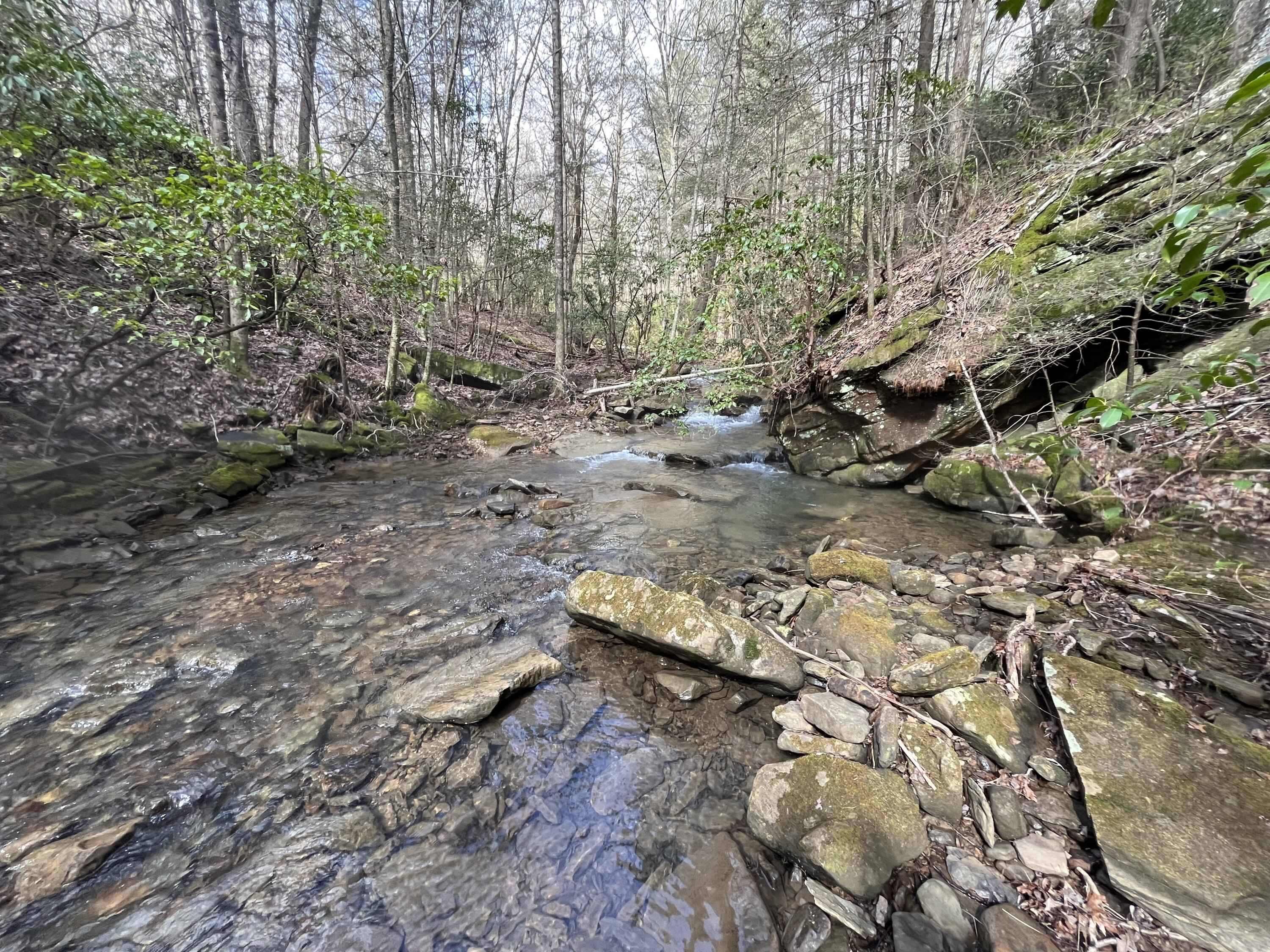 126 Kelly Creek Road Whitwell, TN 37397 - Photo 42 of 61 Photo Feb 22 2023, 12 43 04 PM