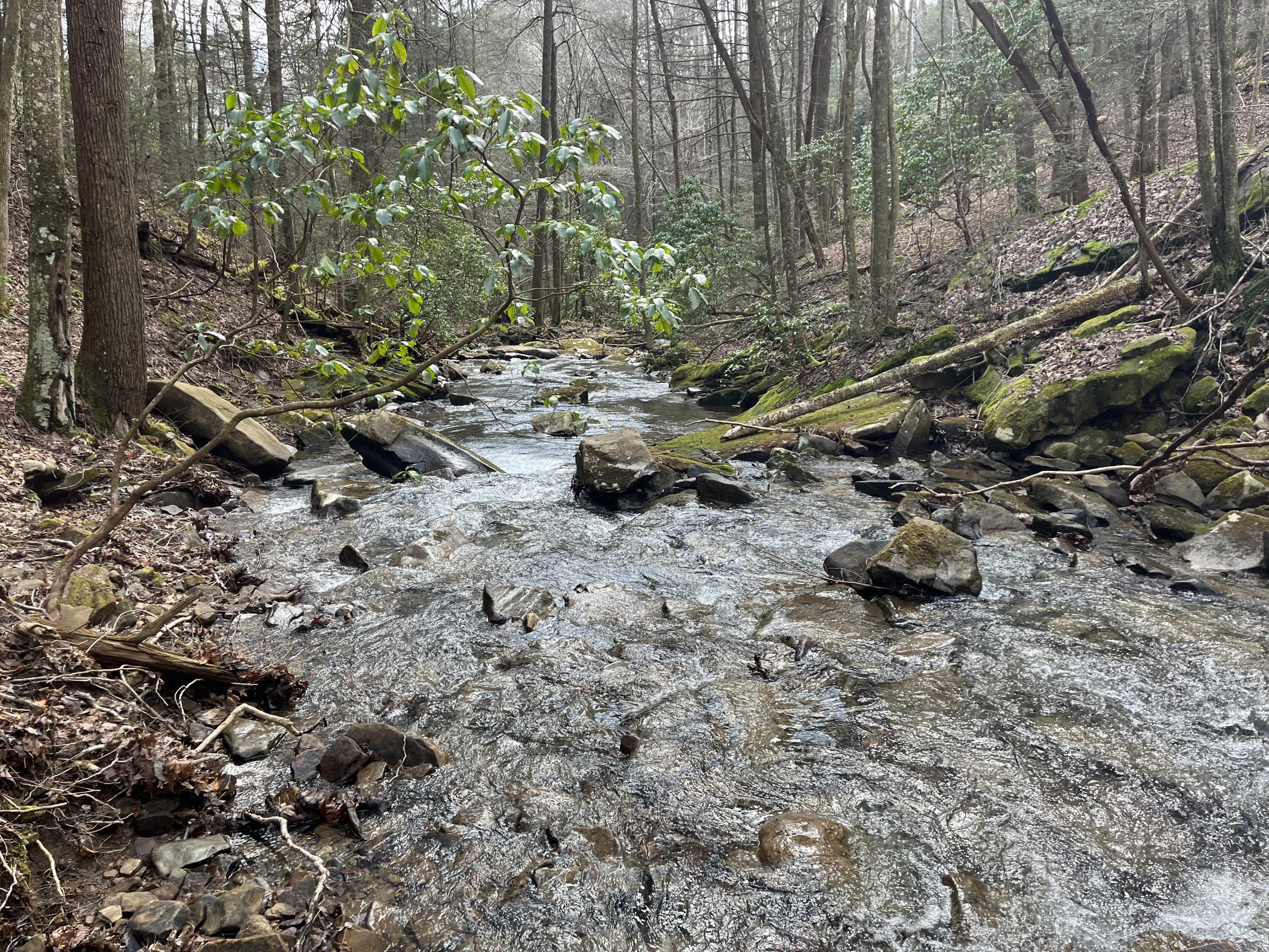 126 Kelly Creek Road Whitwell, TN 37397 - Photo 43 of 61 Photo Feb 22 2023, 12 43 30 PM