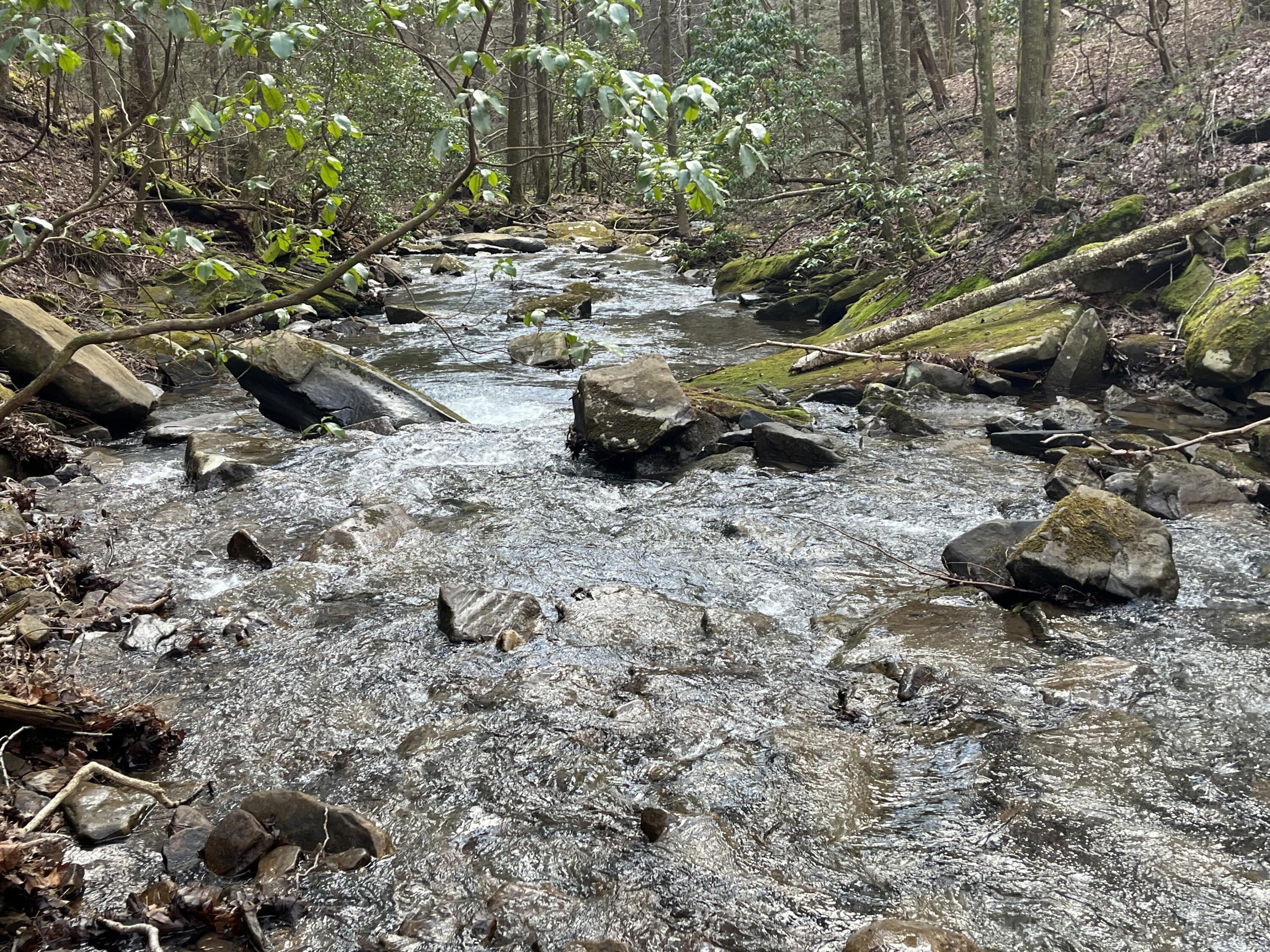 126 Kelly Creek Road Whitwell, TN 37397 - Photo 44 of 61 Photo Feb 22 2023, 12 43 32 PM